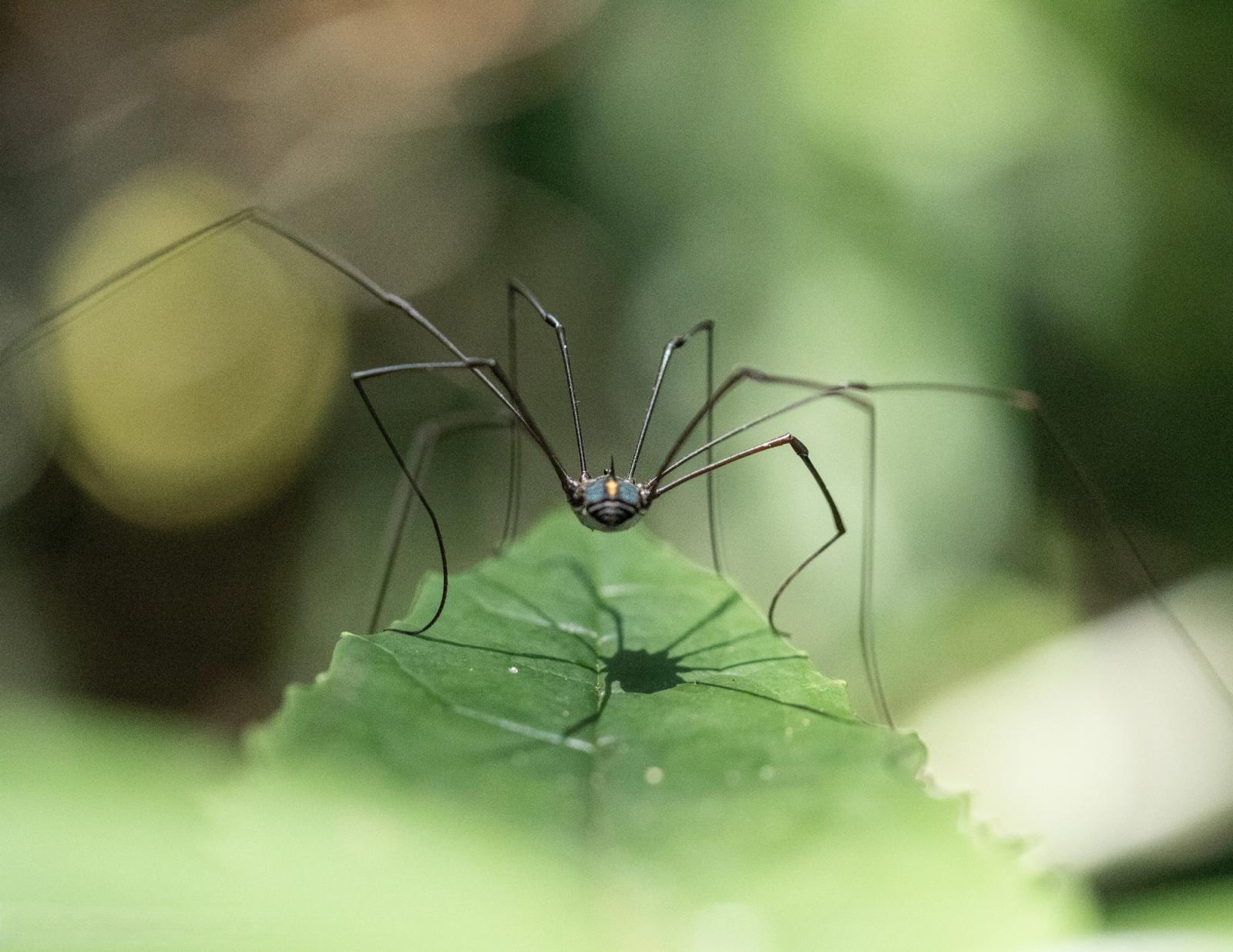 Photographie de Eric Desvergnes