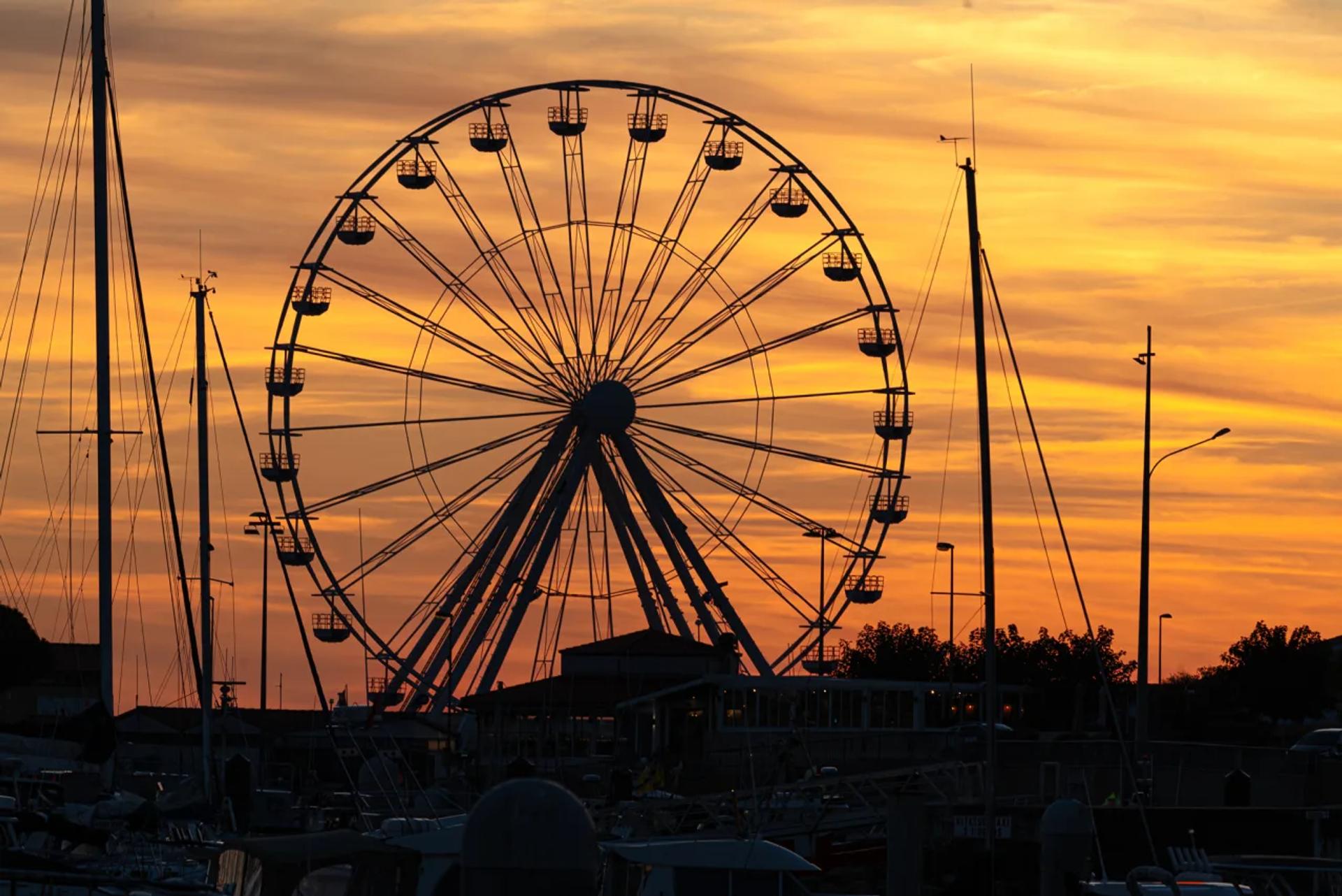 Photographie de Nicole Bureau (3)