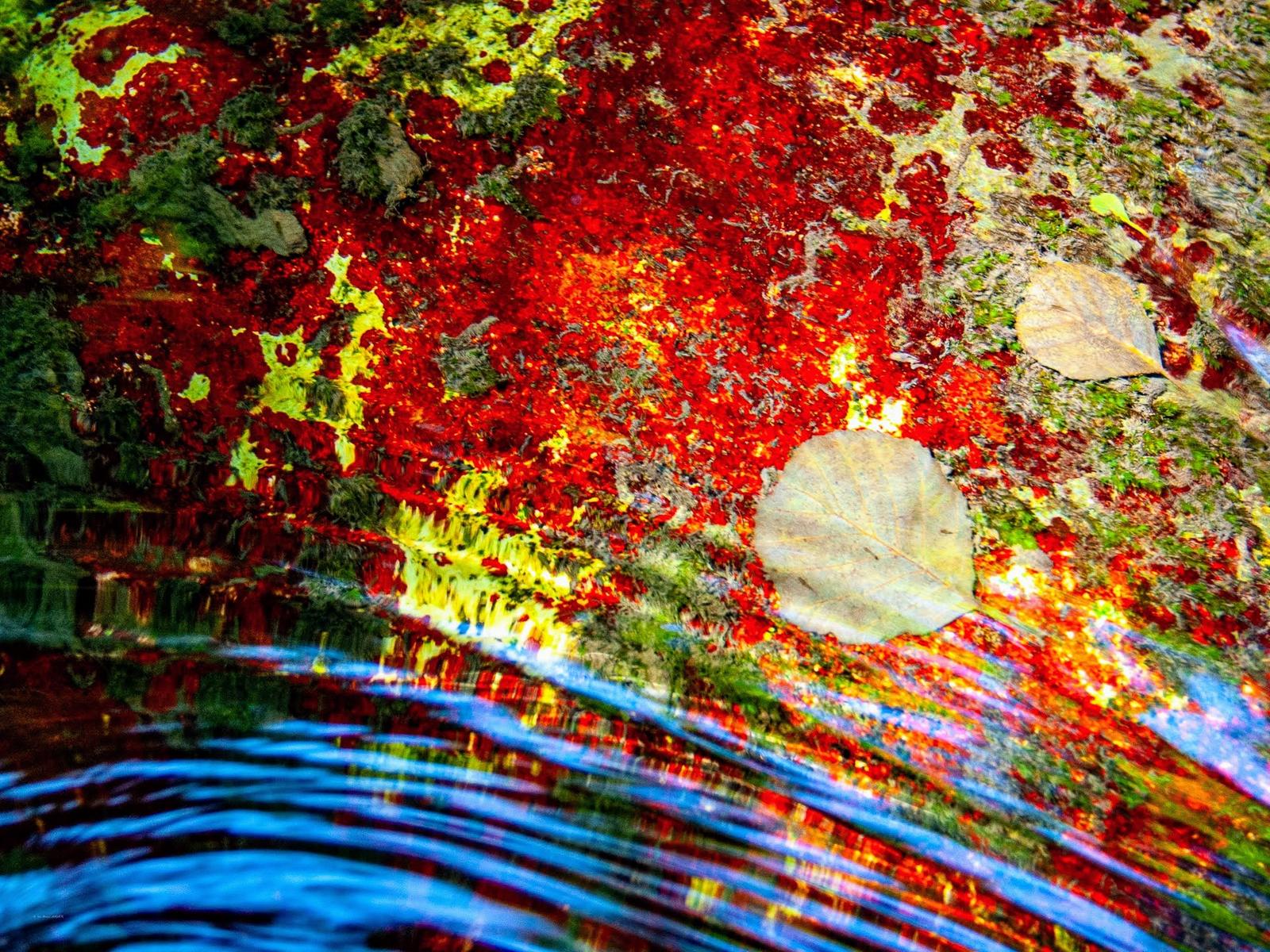 Photographie de Jean-Bernard Augier