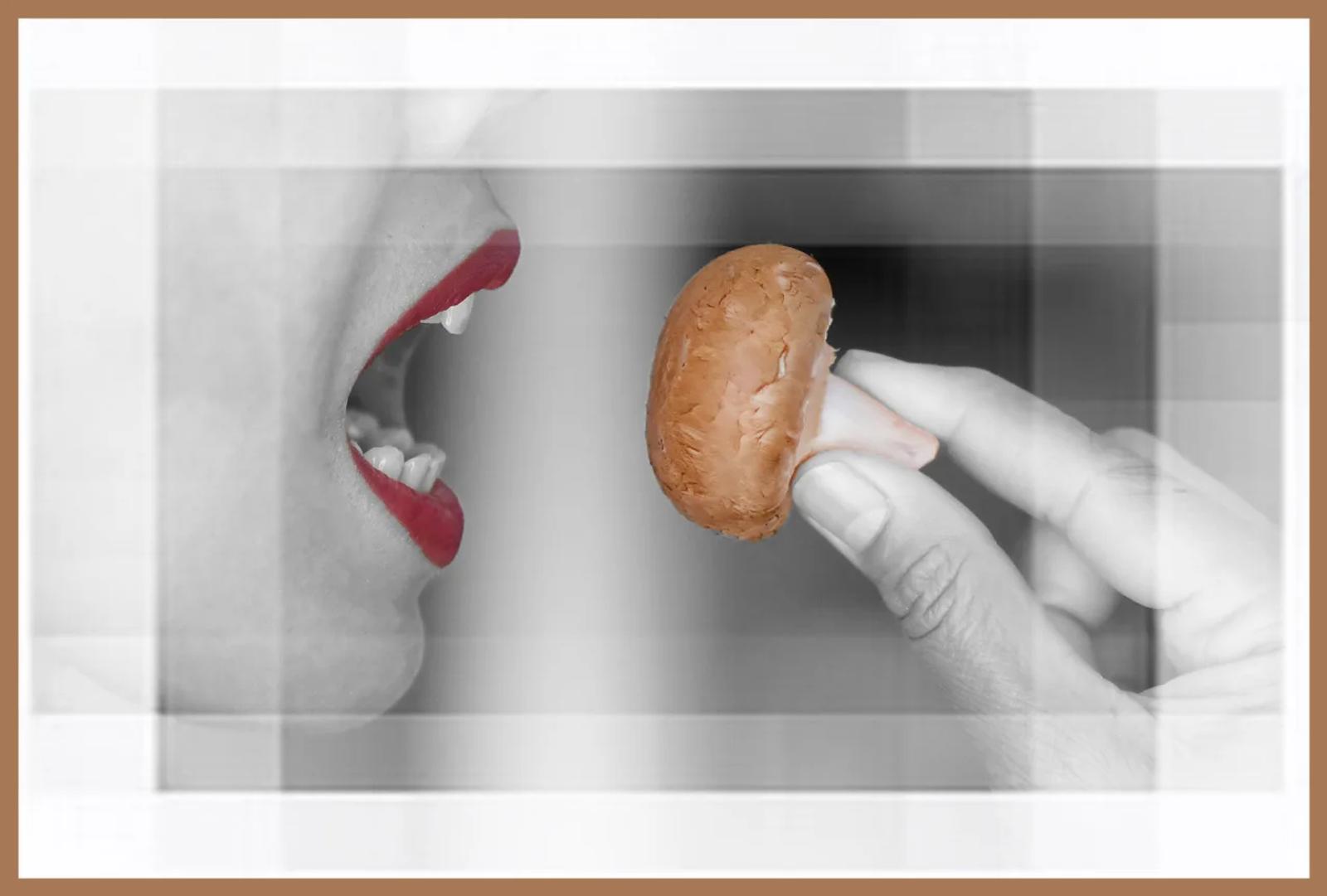 Défi N° 1 "Champignons" — photographie 6 (GPPR)