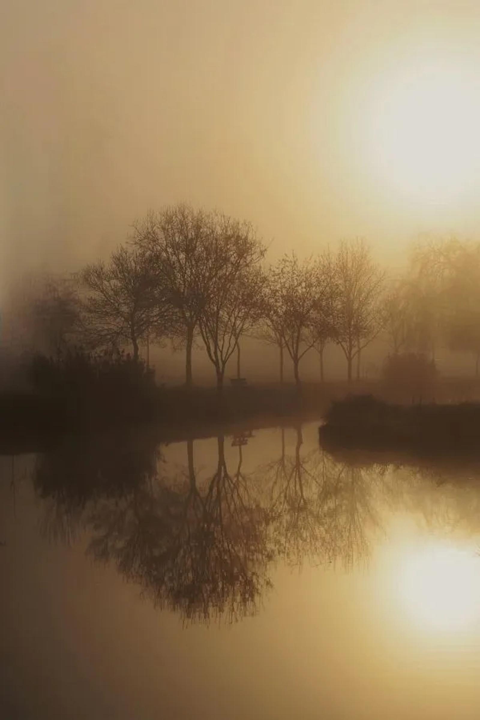 UR03 Défi de Mars 2026 : brume et brouillard — photographie 2 (GPPR)