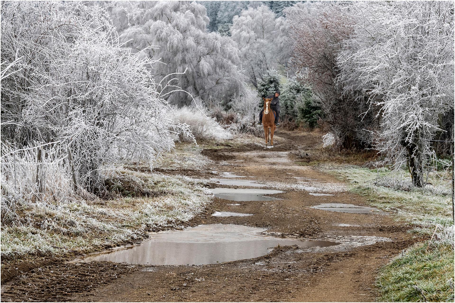 RN D8 SENTIER HIVERNAL