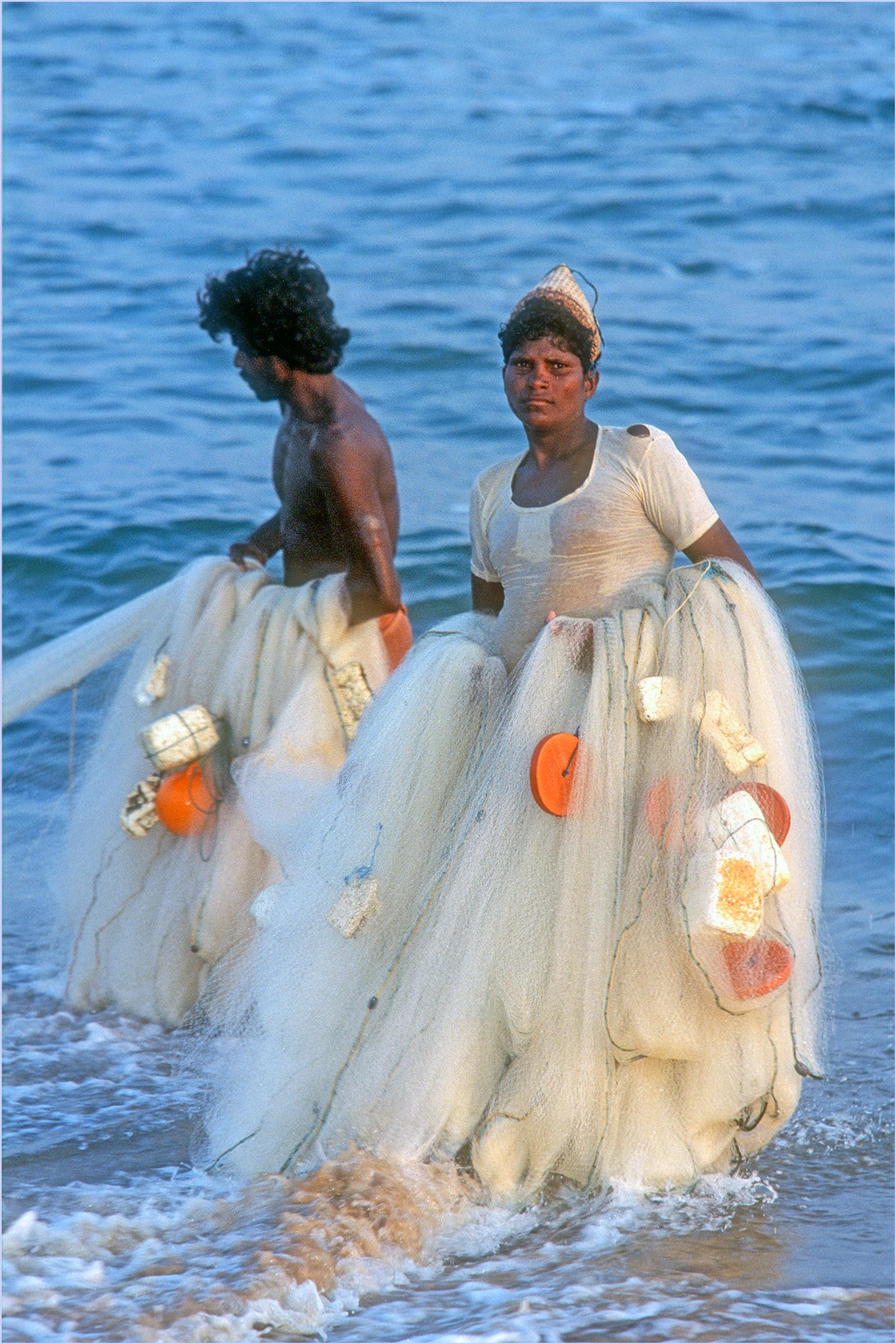 Inde (7)