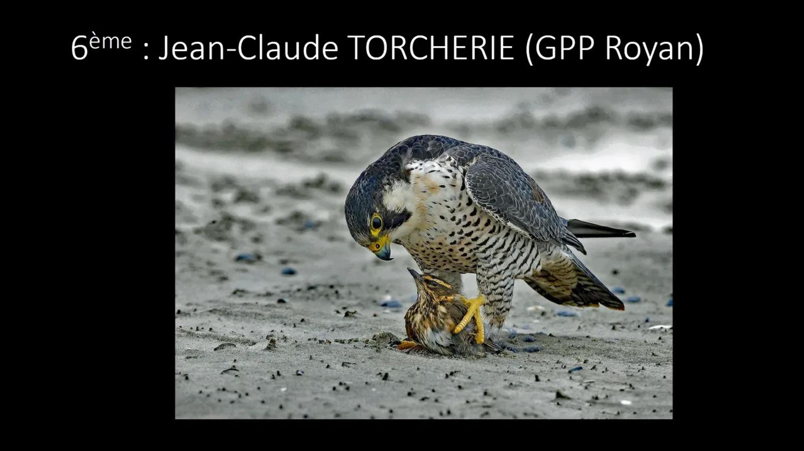 GRAP 2025 IP — photographie 2 (GPPR)
