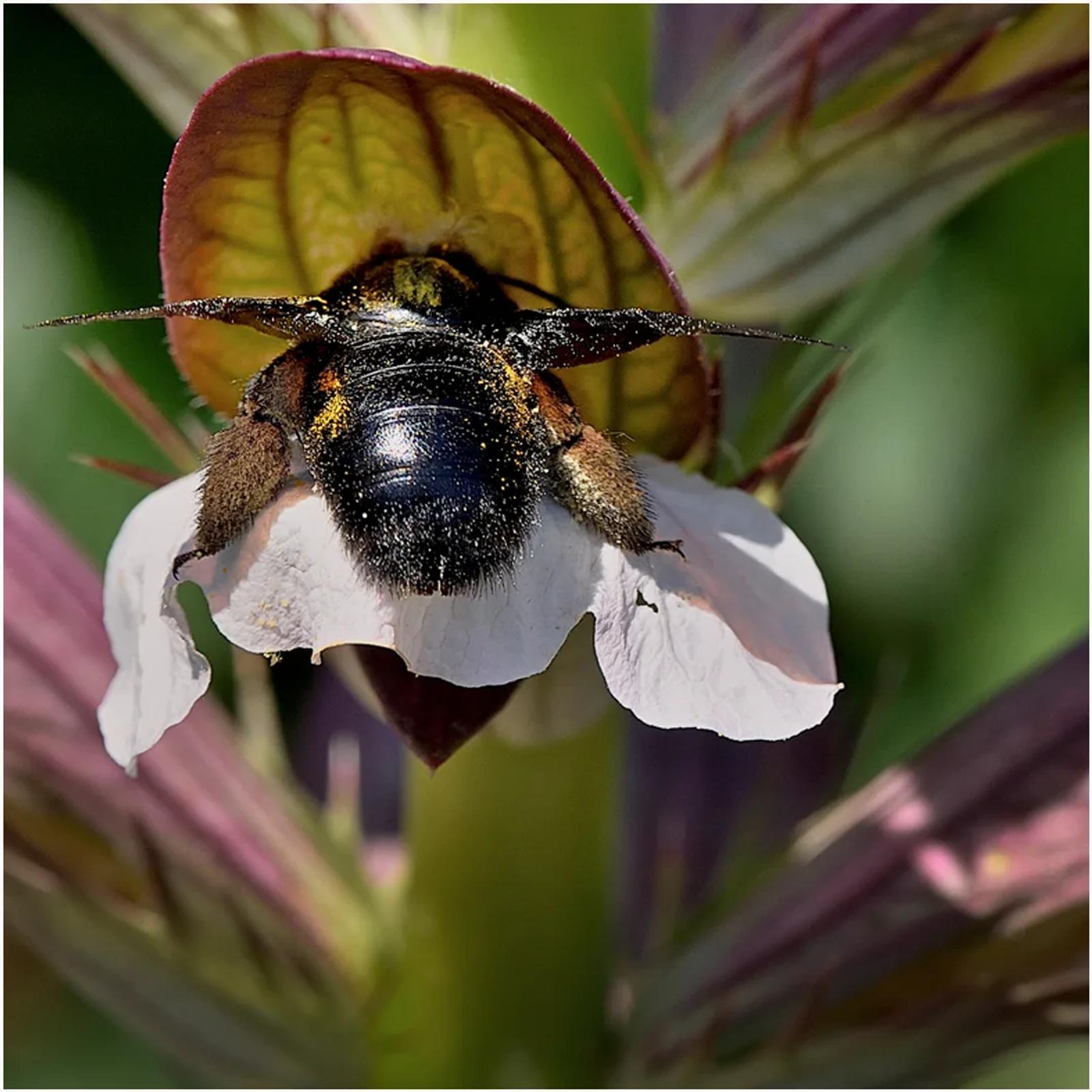 Photographie de Jean-Marie Airault (2)