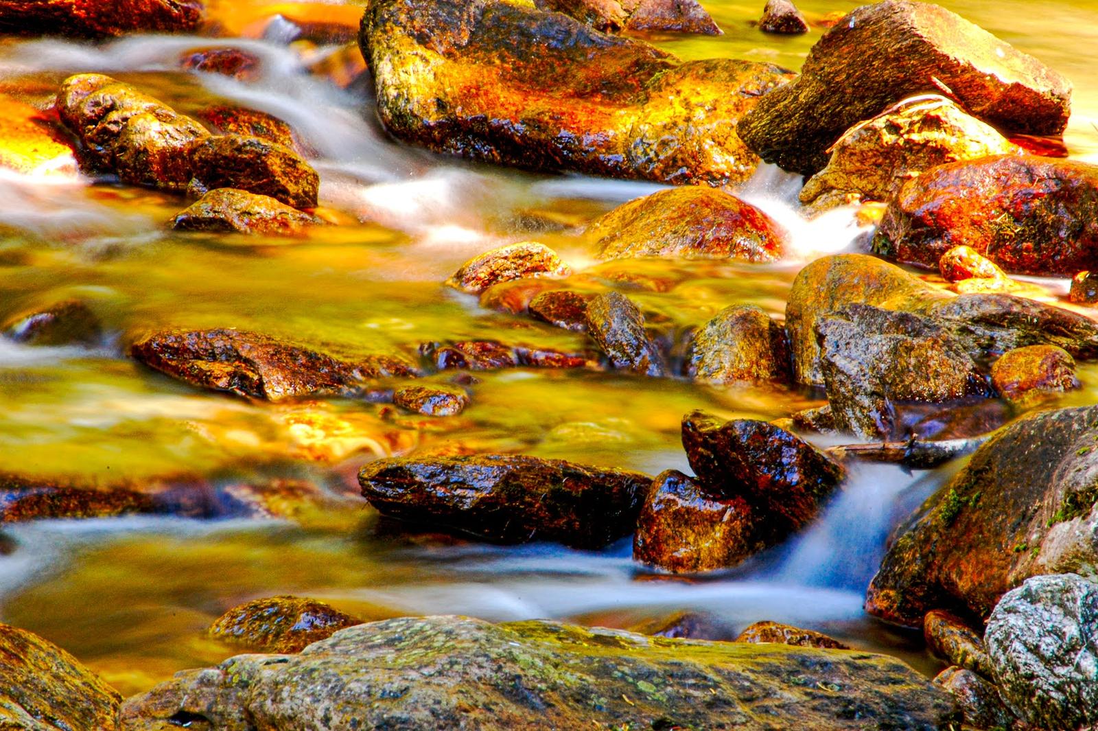 Photographie de Jean-Bernard Augier