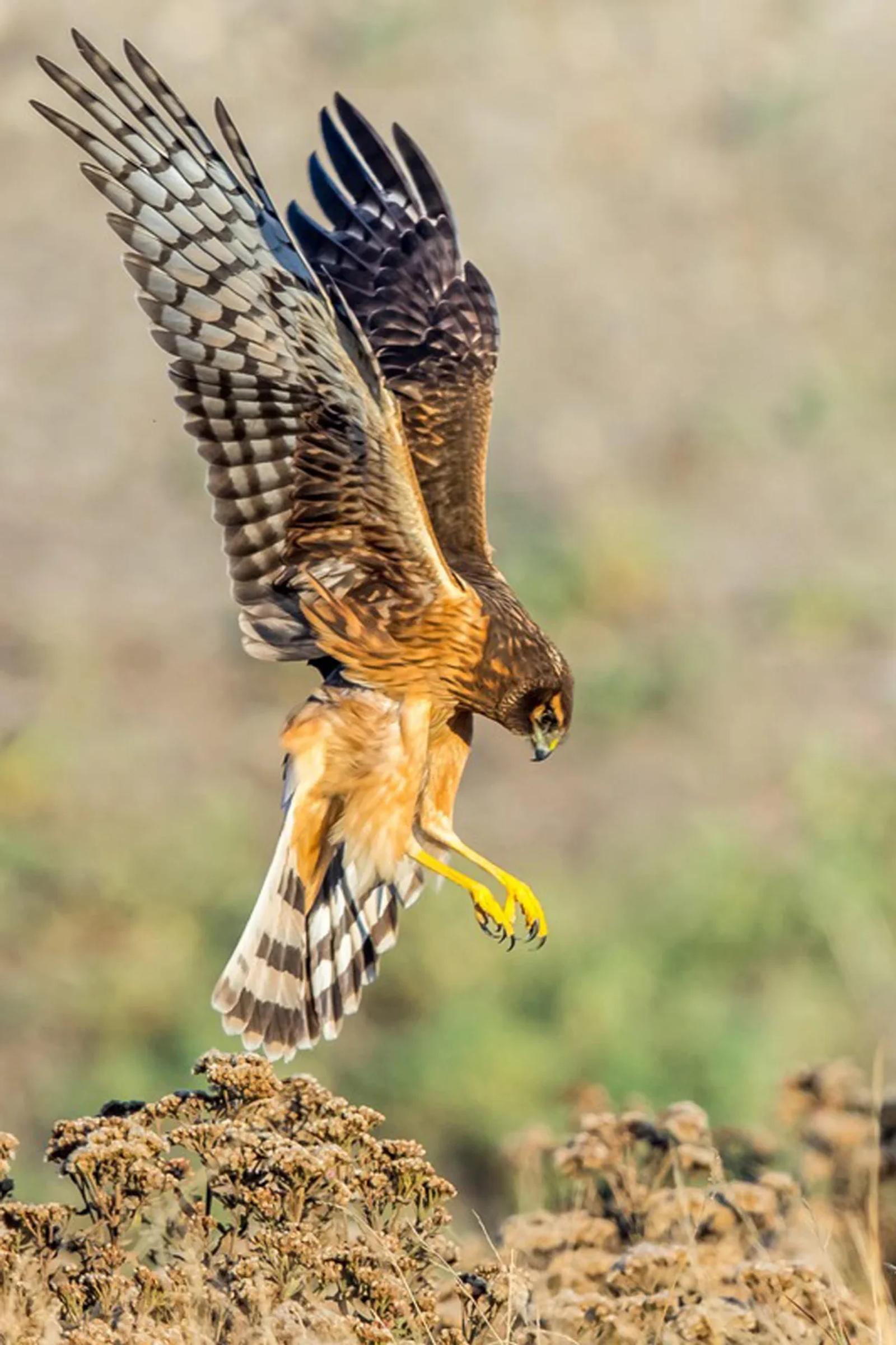 Photographie de Jean-Claude Fortor (7)