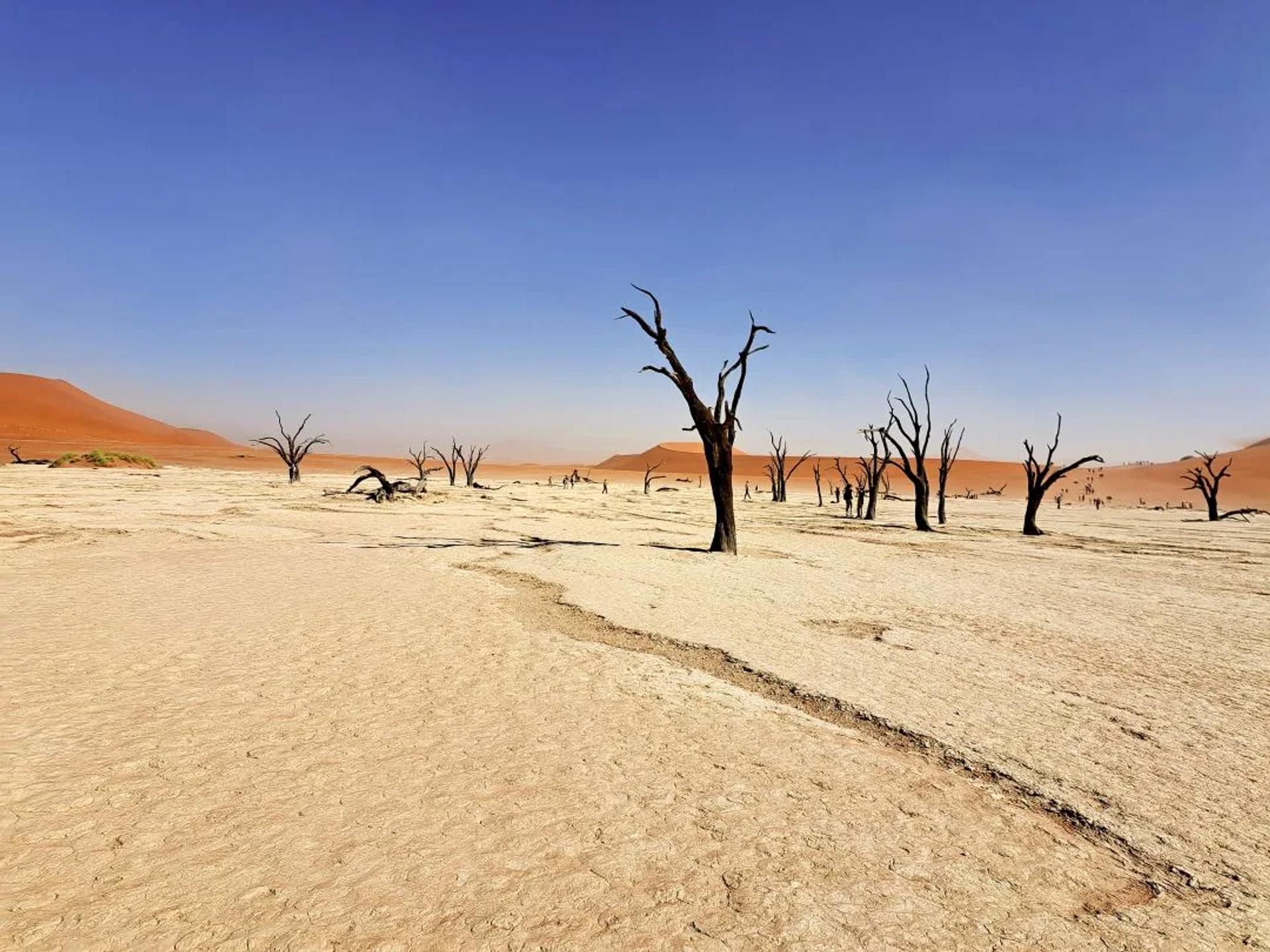 EXPOSITION "Bons baisers de Royan" automne 2025 — photographie 10 (GPPR)
