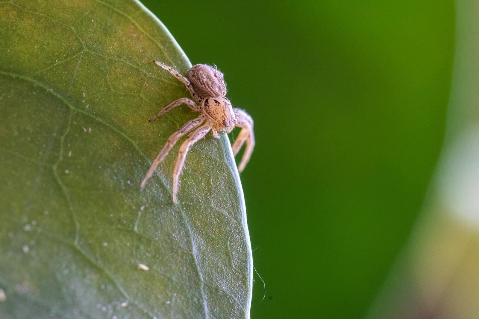 Photographie de Eric Desvergnes