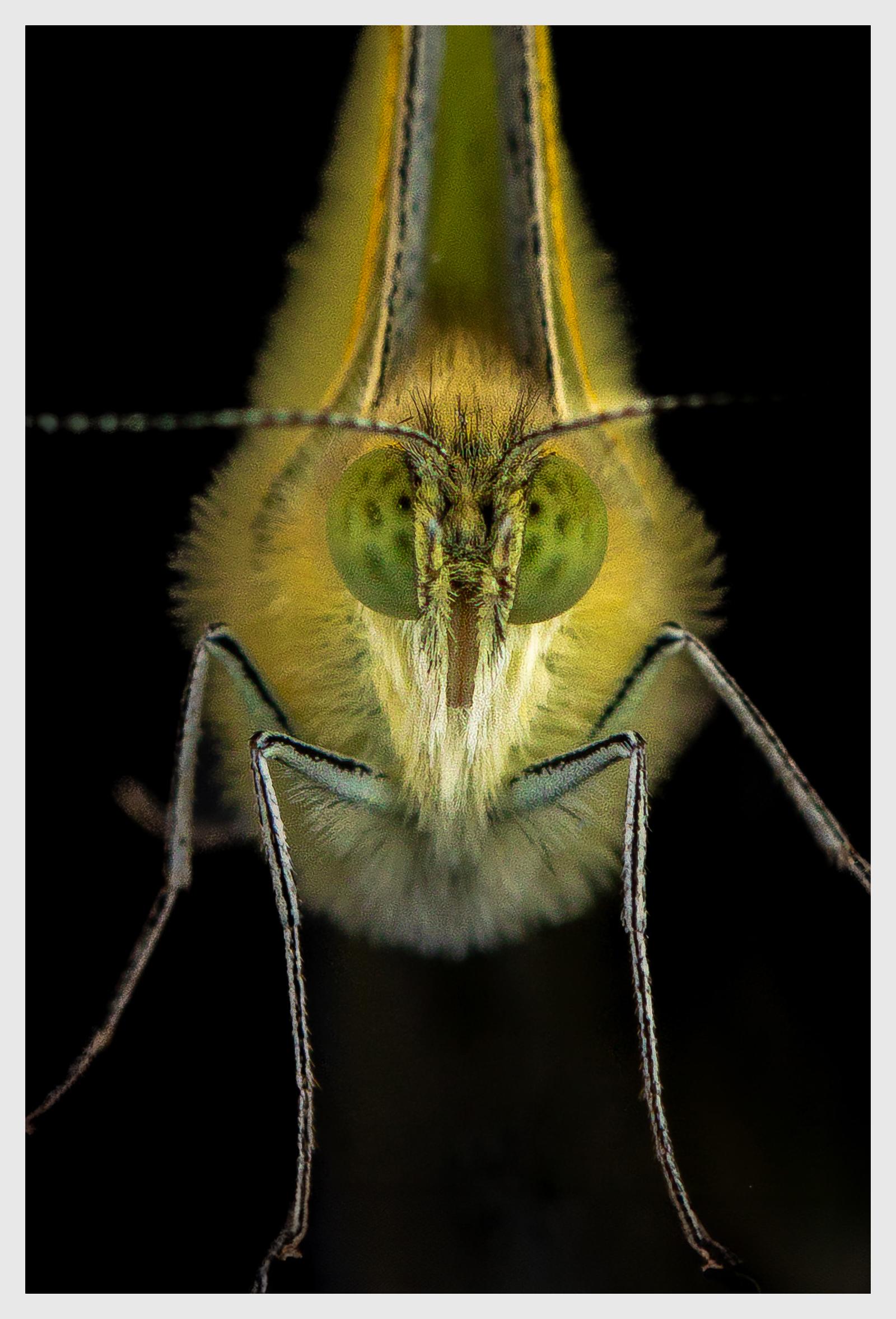 Photographie de Eric Desvergnes