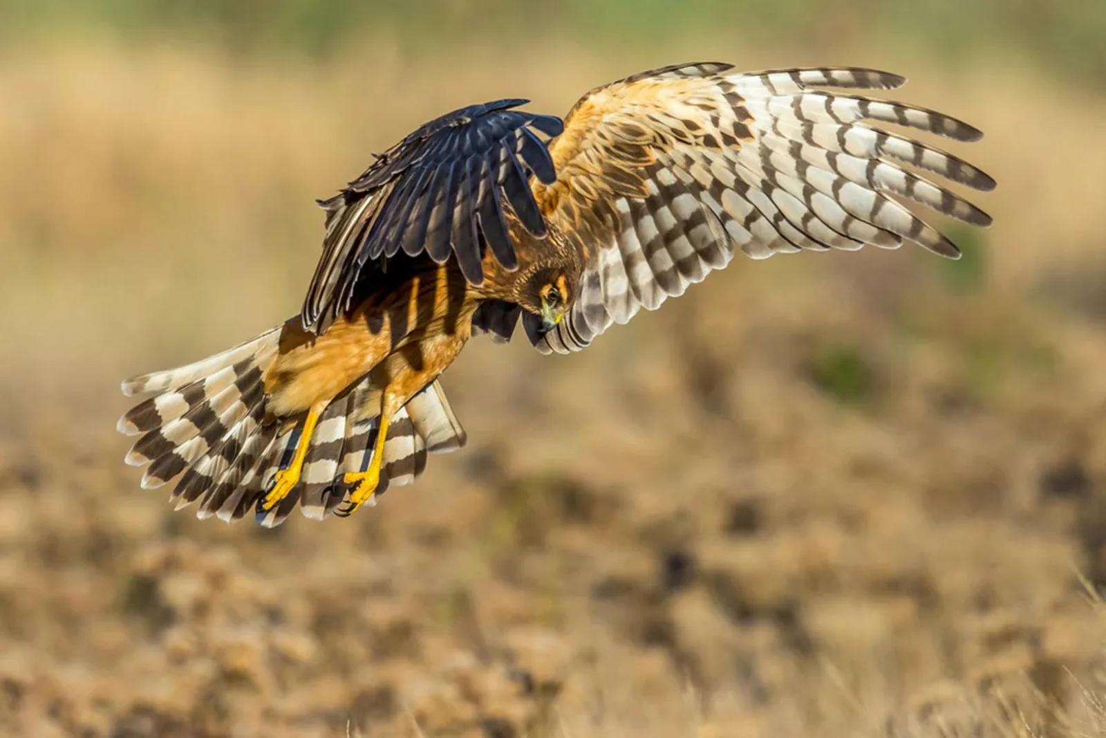 Photographie de Jean-Claude Fortor (5)