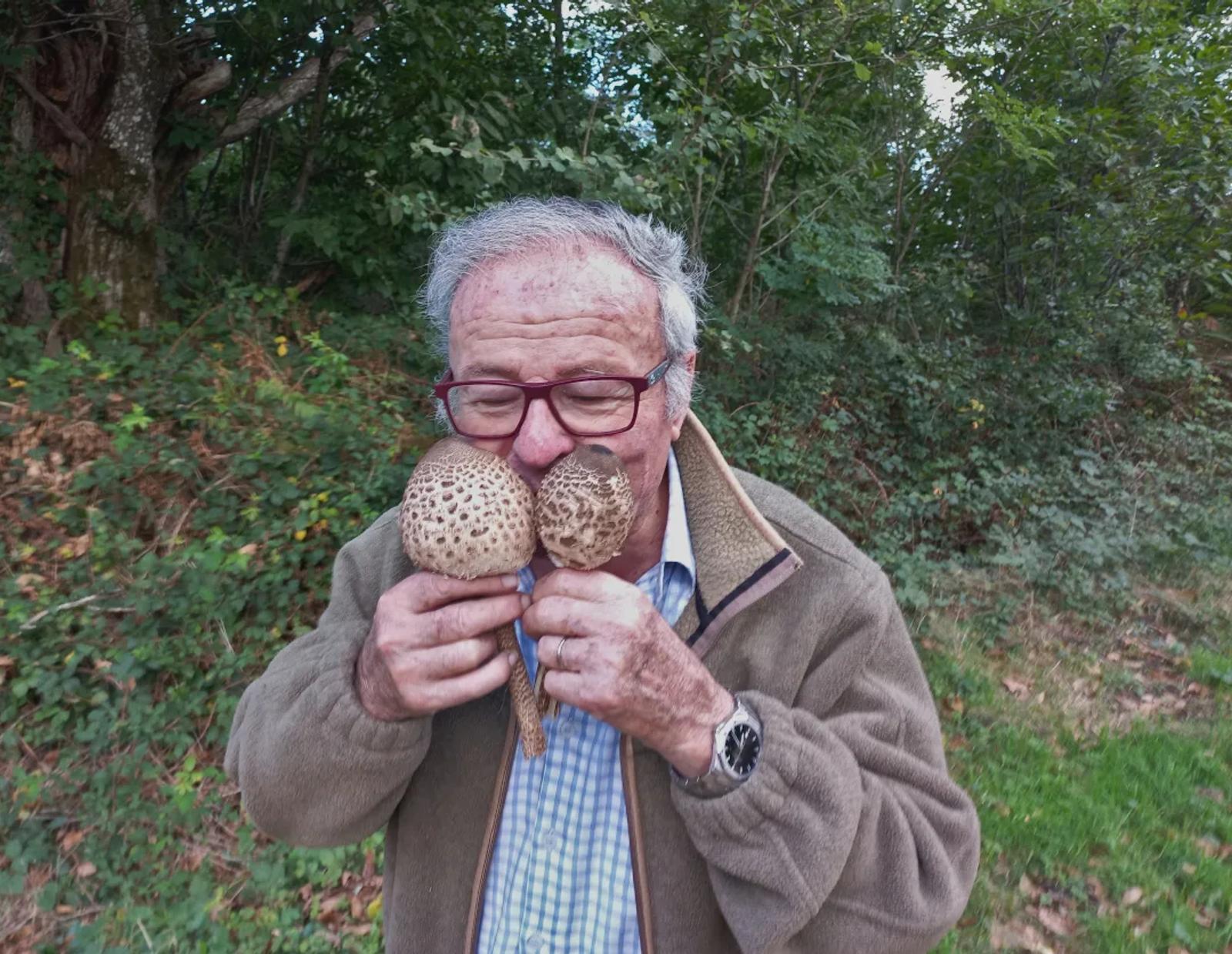 Défi N° 1 "Champignons" — photographie 50 (GPPR)