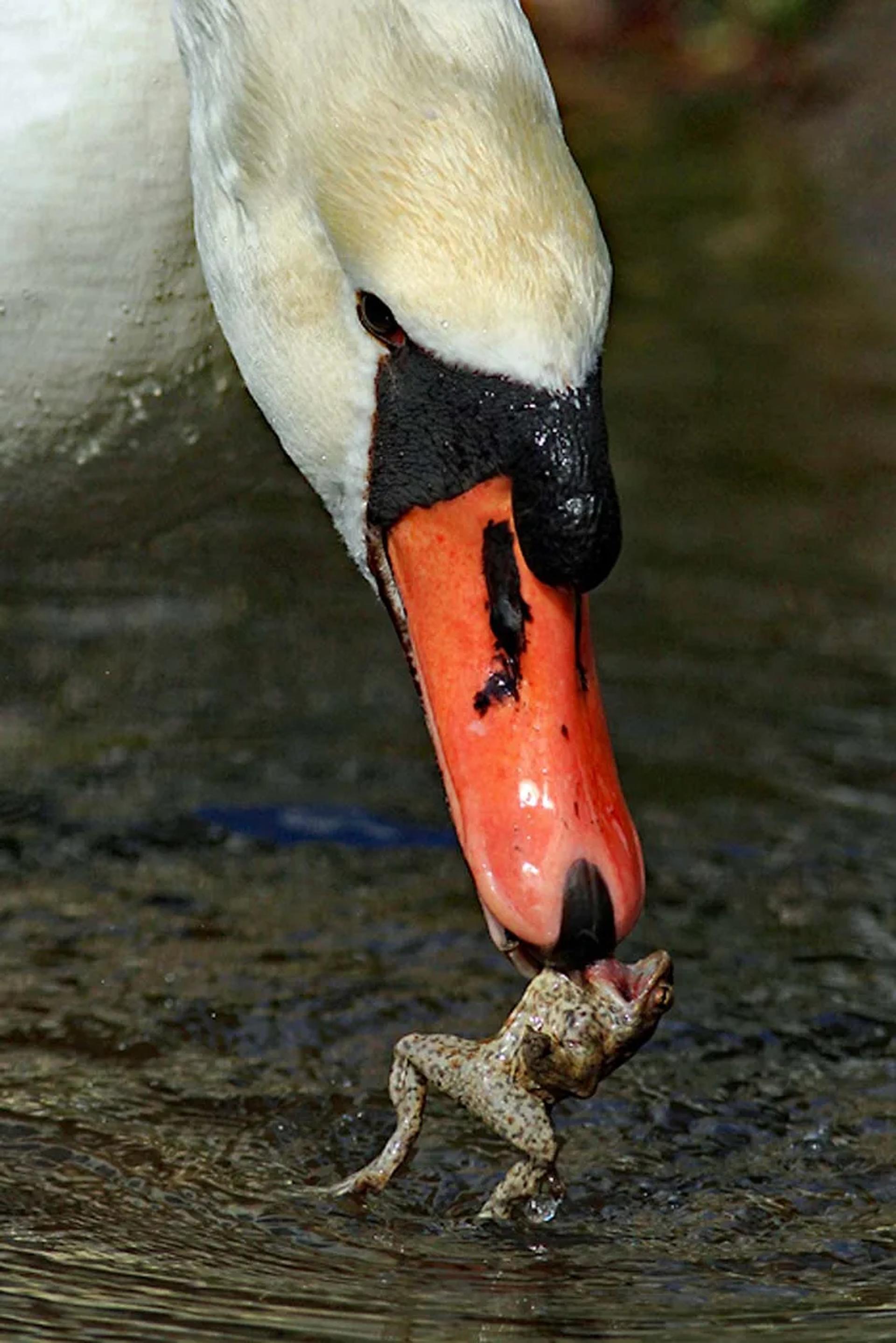 Photographie de Jean-Claude Fortor (8)