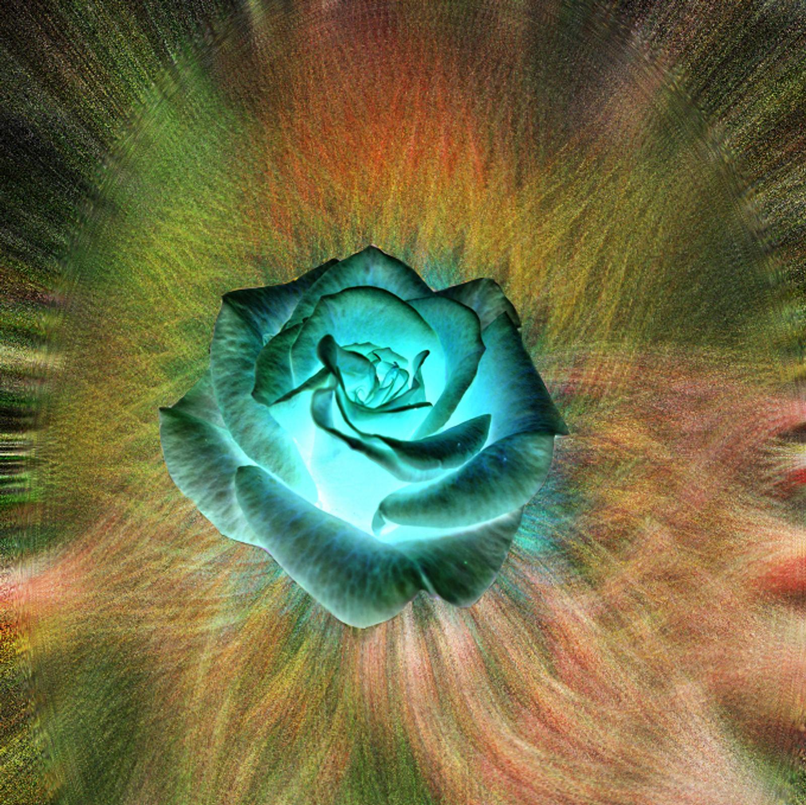 D.RVL  7