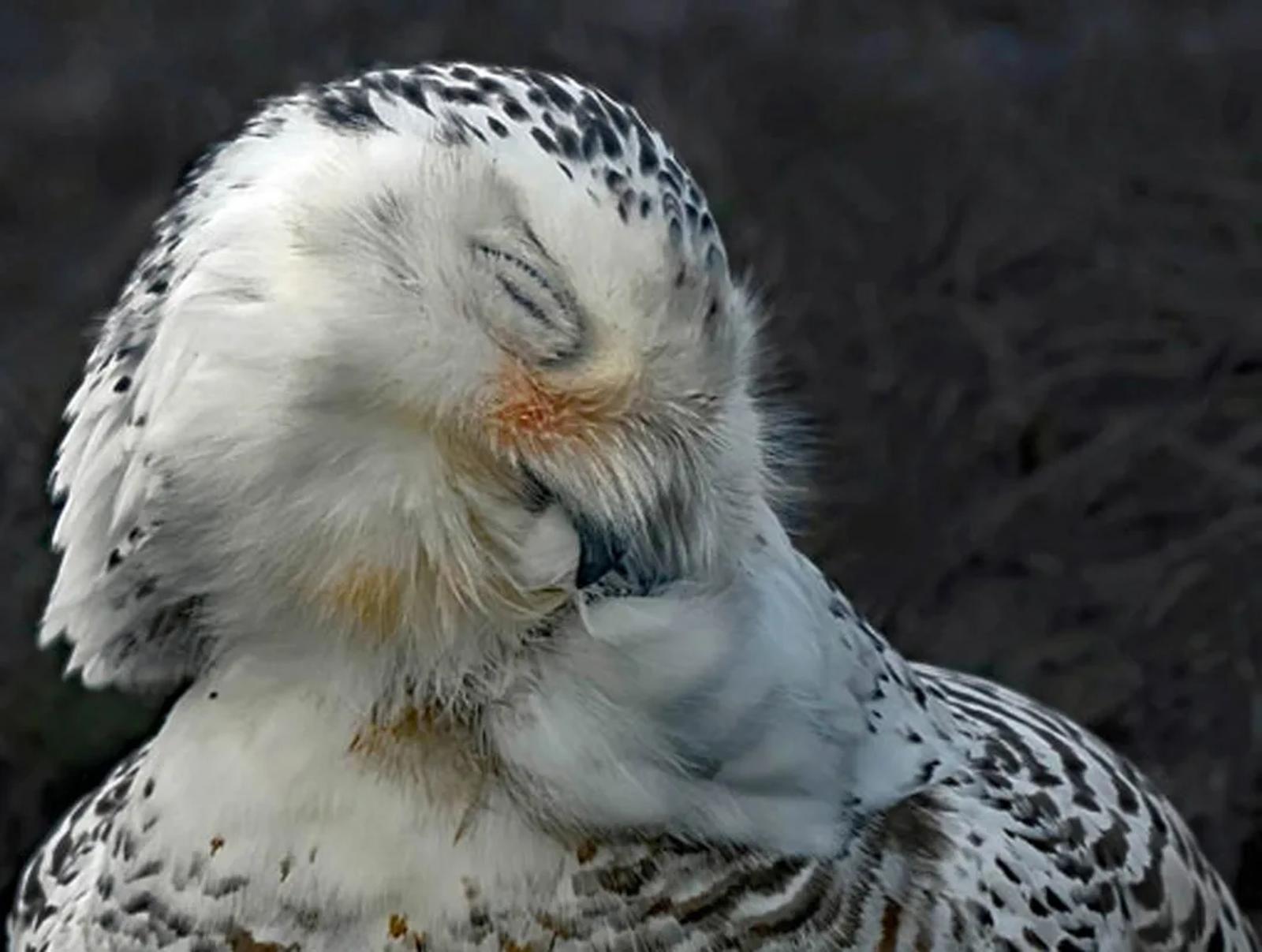 Photographie de Jean-Claude Fortor (8)