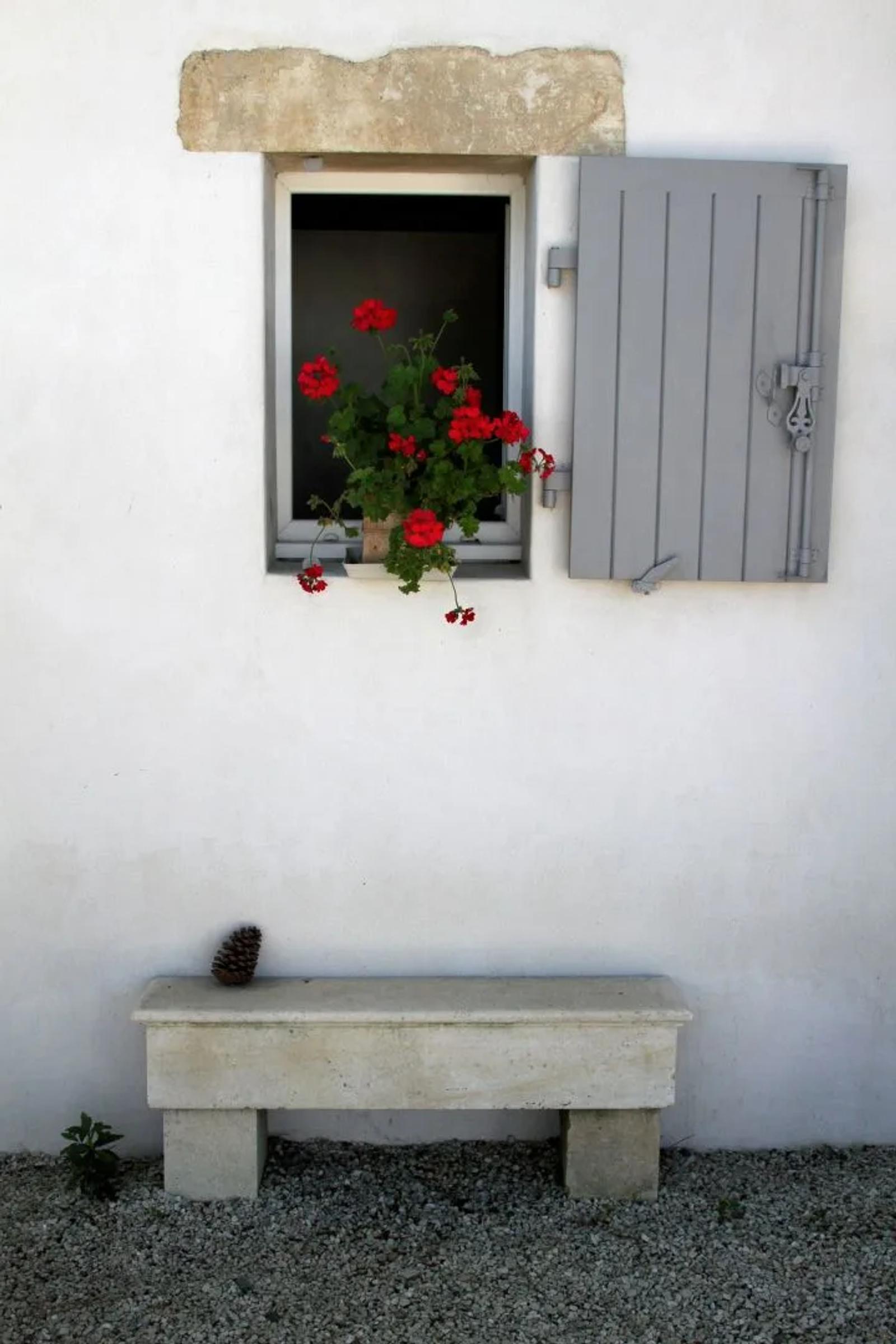 Photographie de Françoise Airault (3)