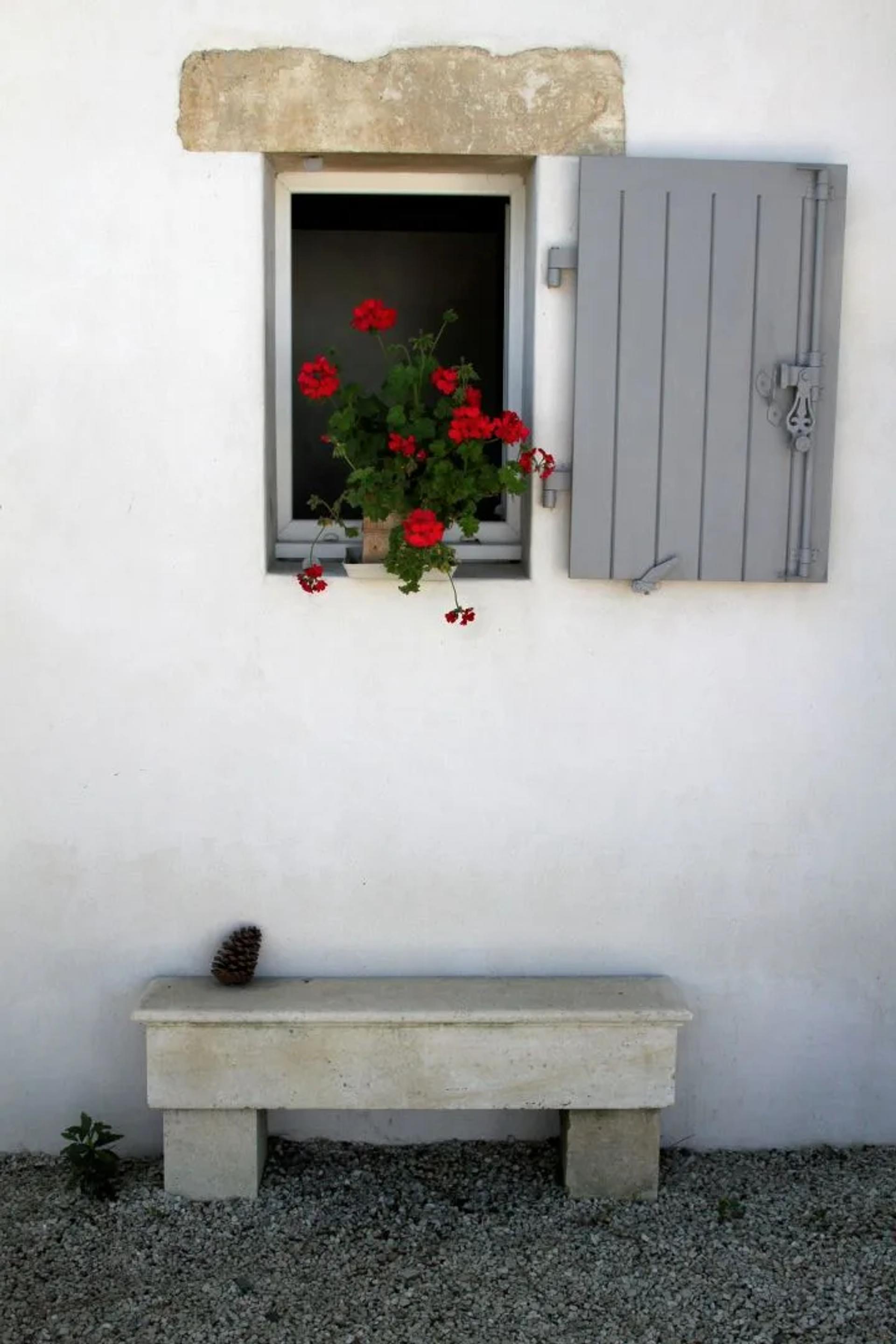 Photographie de Françoise Airault (3)