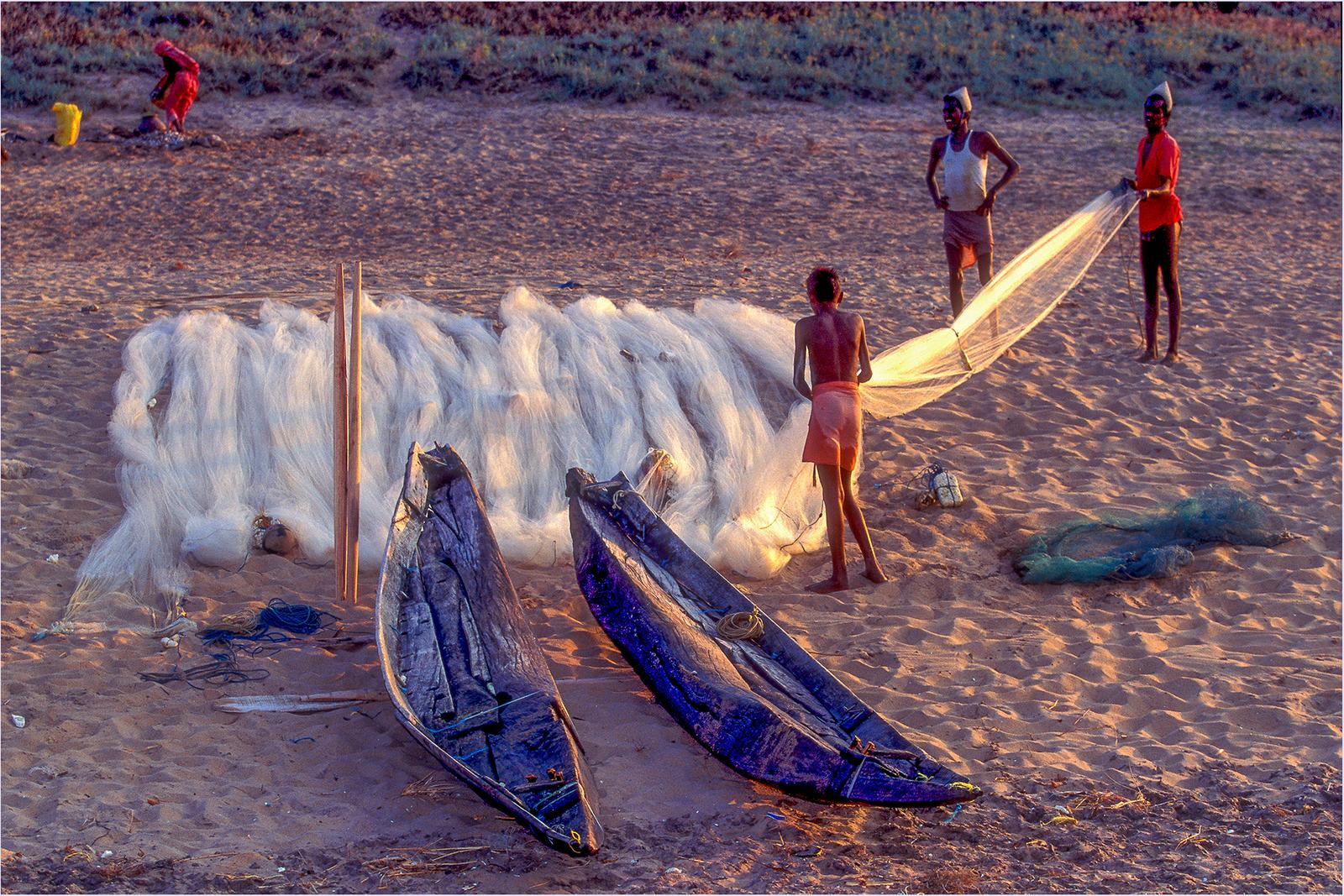Inde (9)
