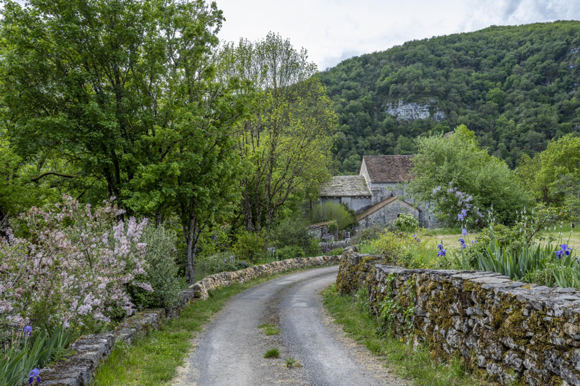 Quercy  (5)