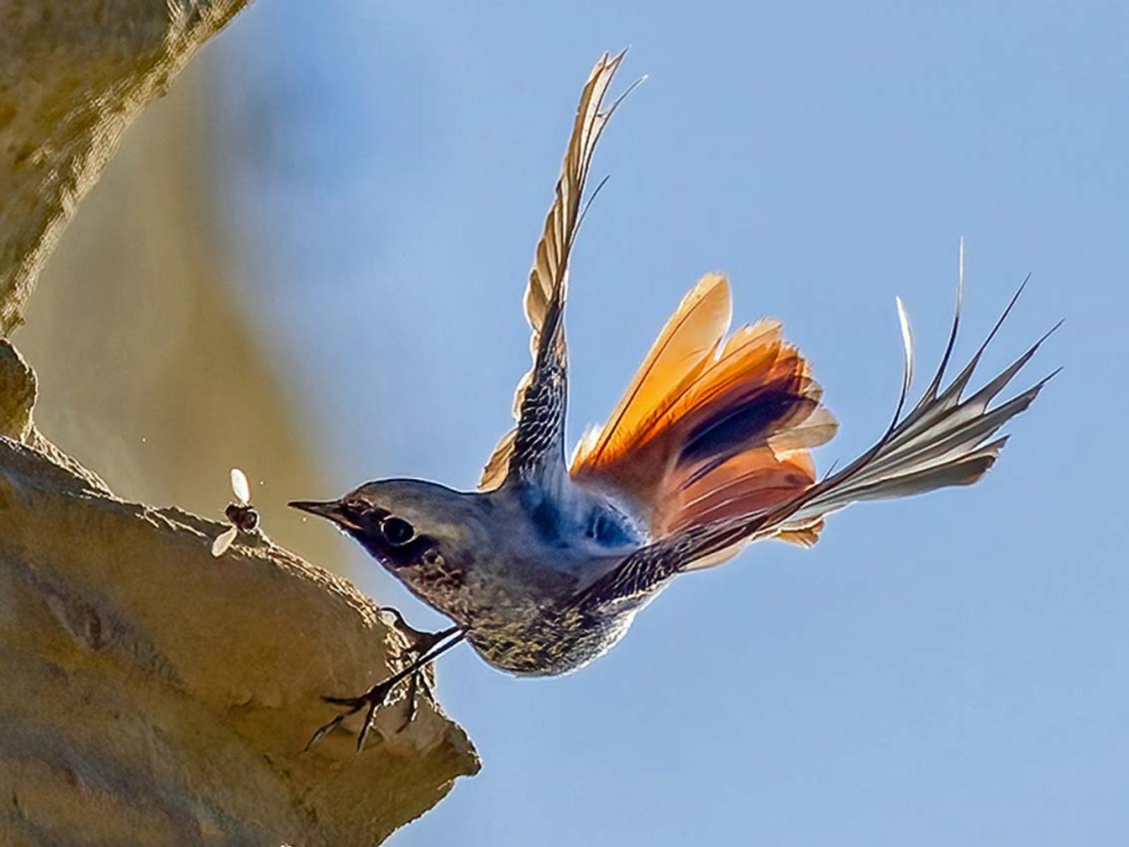Photographie de Jean-Claude Fortor