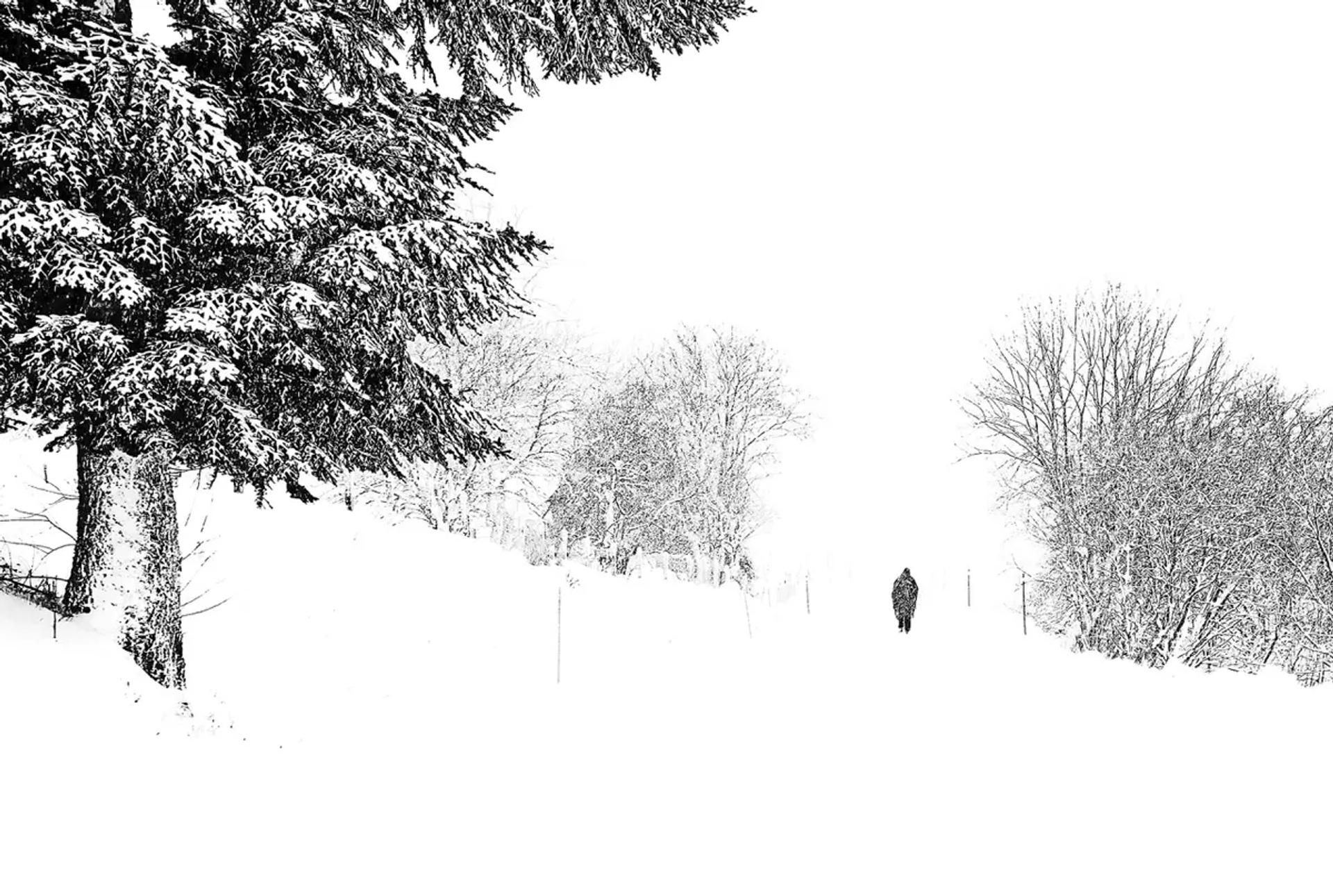 Exposition libre Automne 2025