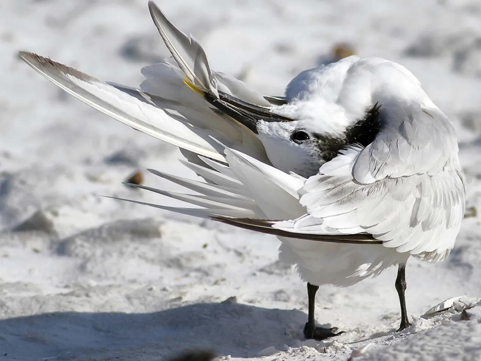 Photographie de Jean-Claude Fortor (10)
