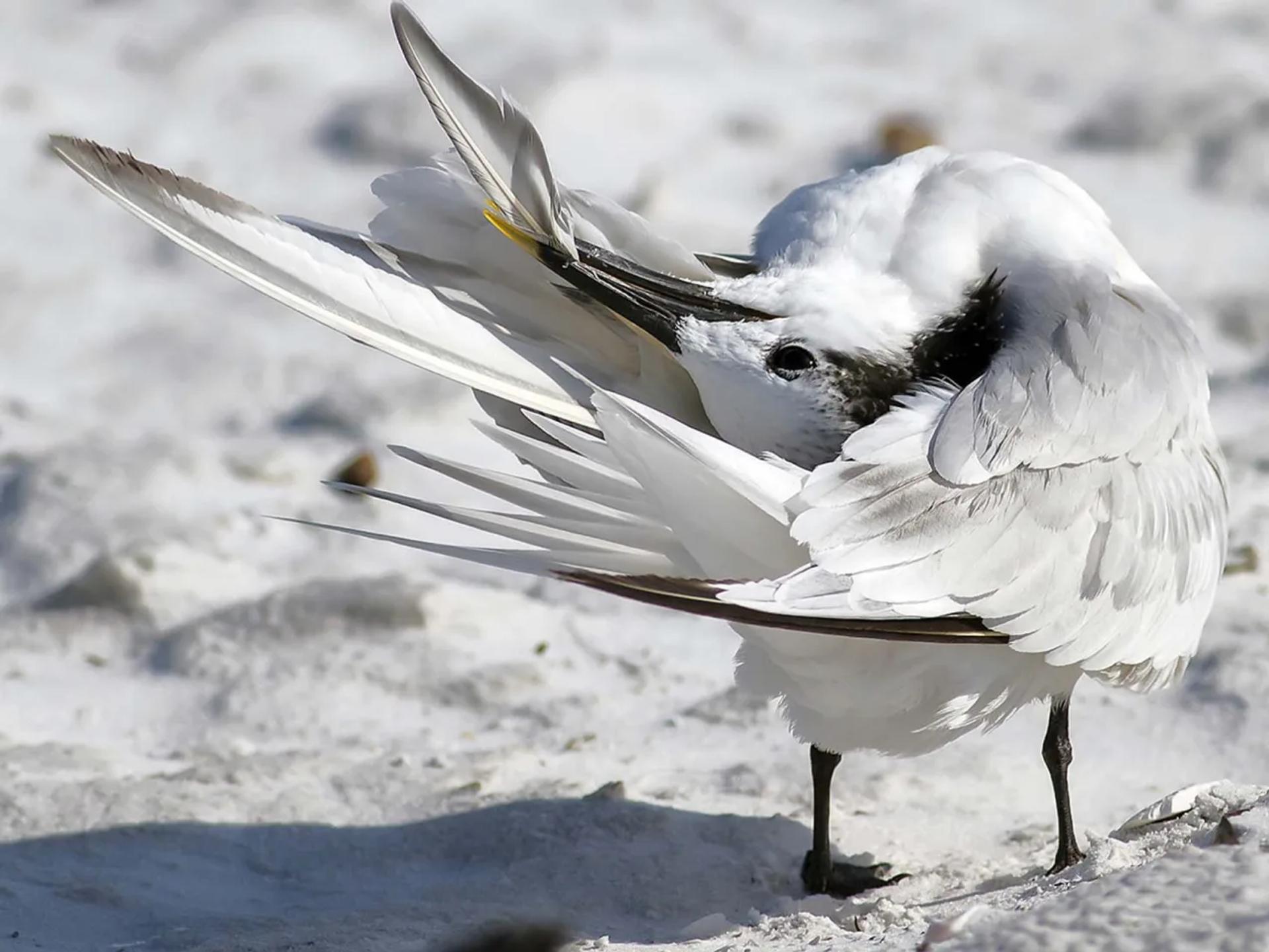 Photographie de Jean-Claude Fortor (10)
