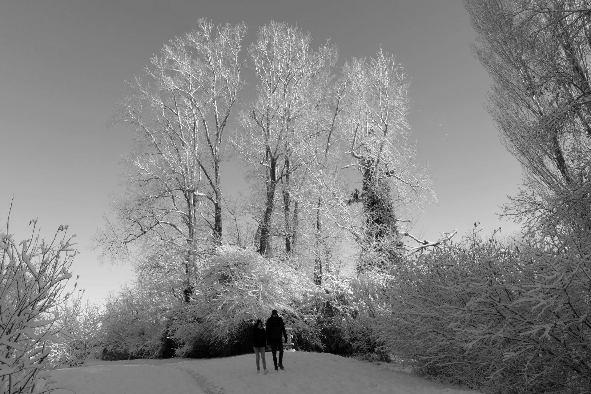 RN D17 Balade hivernale. N&B