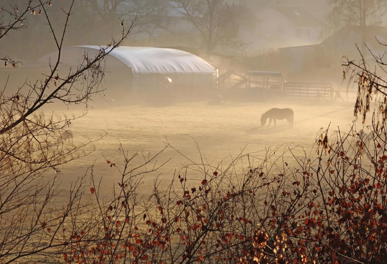 UR03 Défi de Mars 2026 : brume et brouillard — photographie 1 (GPPR)