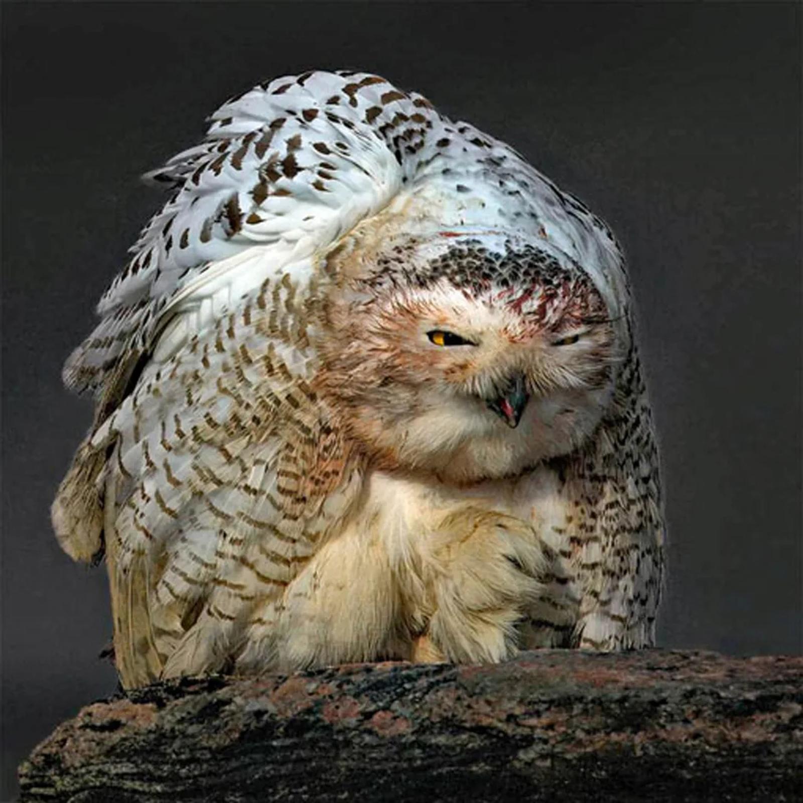 Photographie de Jean-Claude Fortor (7)