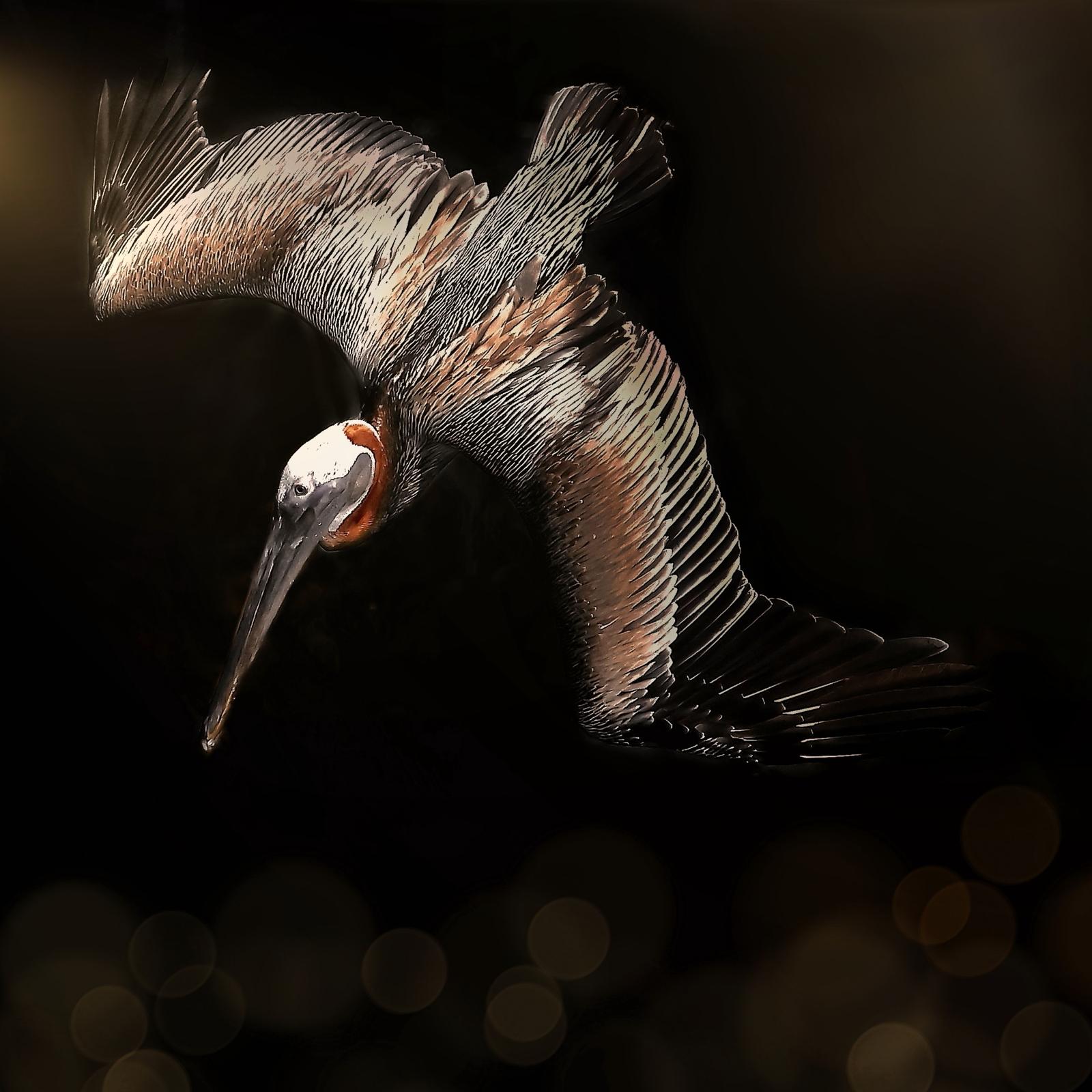 Photographie de Philippe Lombarde