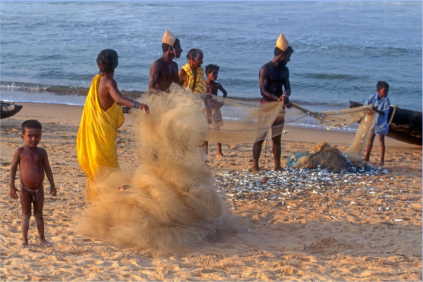 Inde (4)