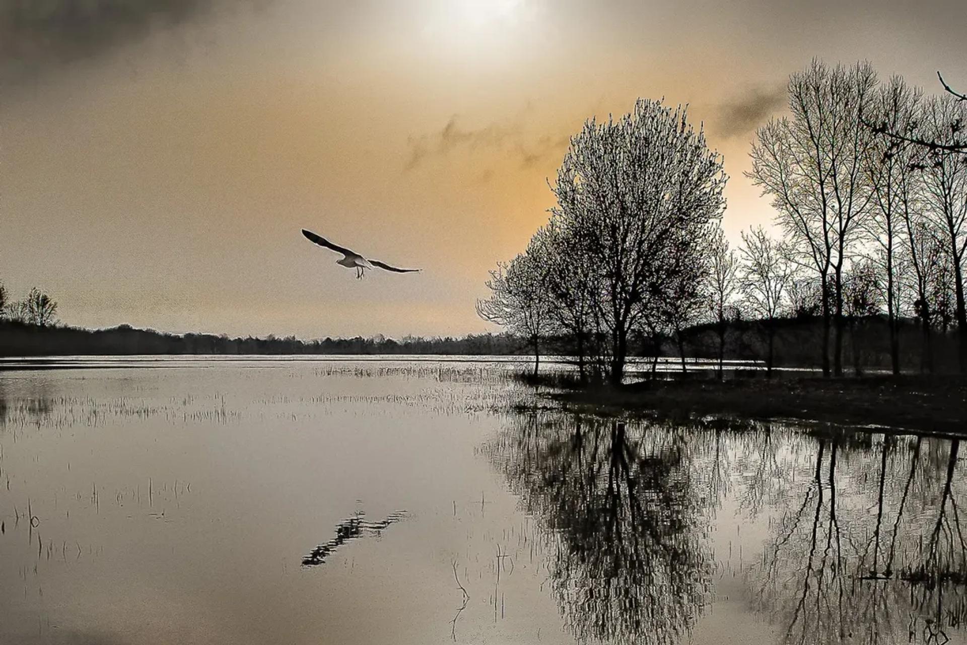 Exposition libre Automne 2025