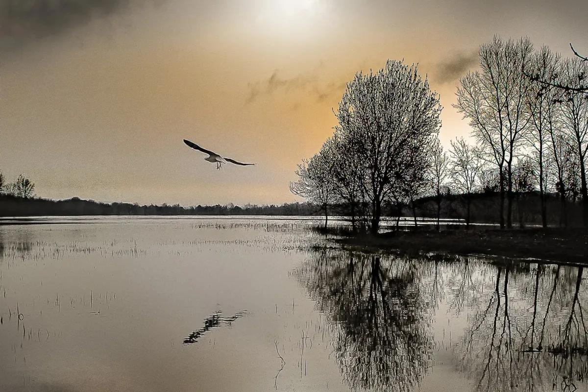 Exposition libre Automne 2025