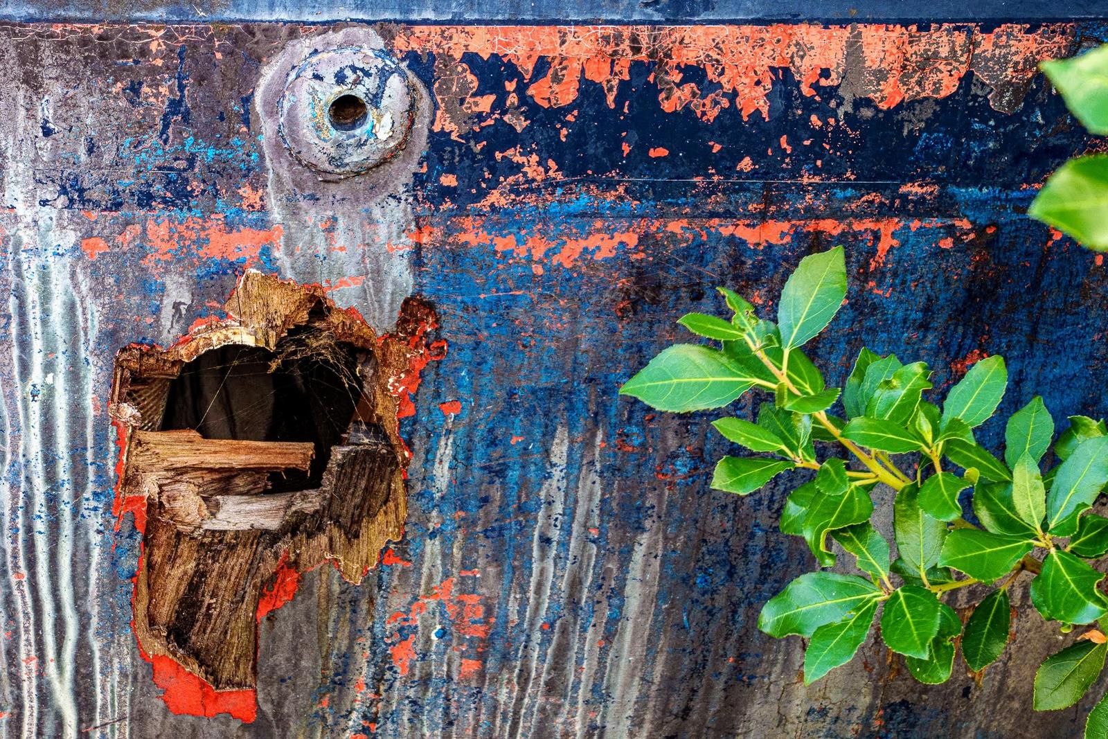 Photographie de Jean-Bernard Augier