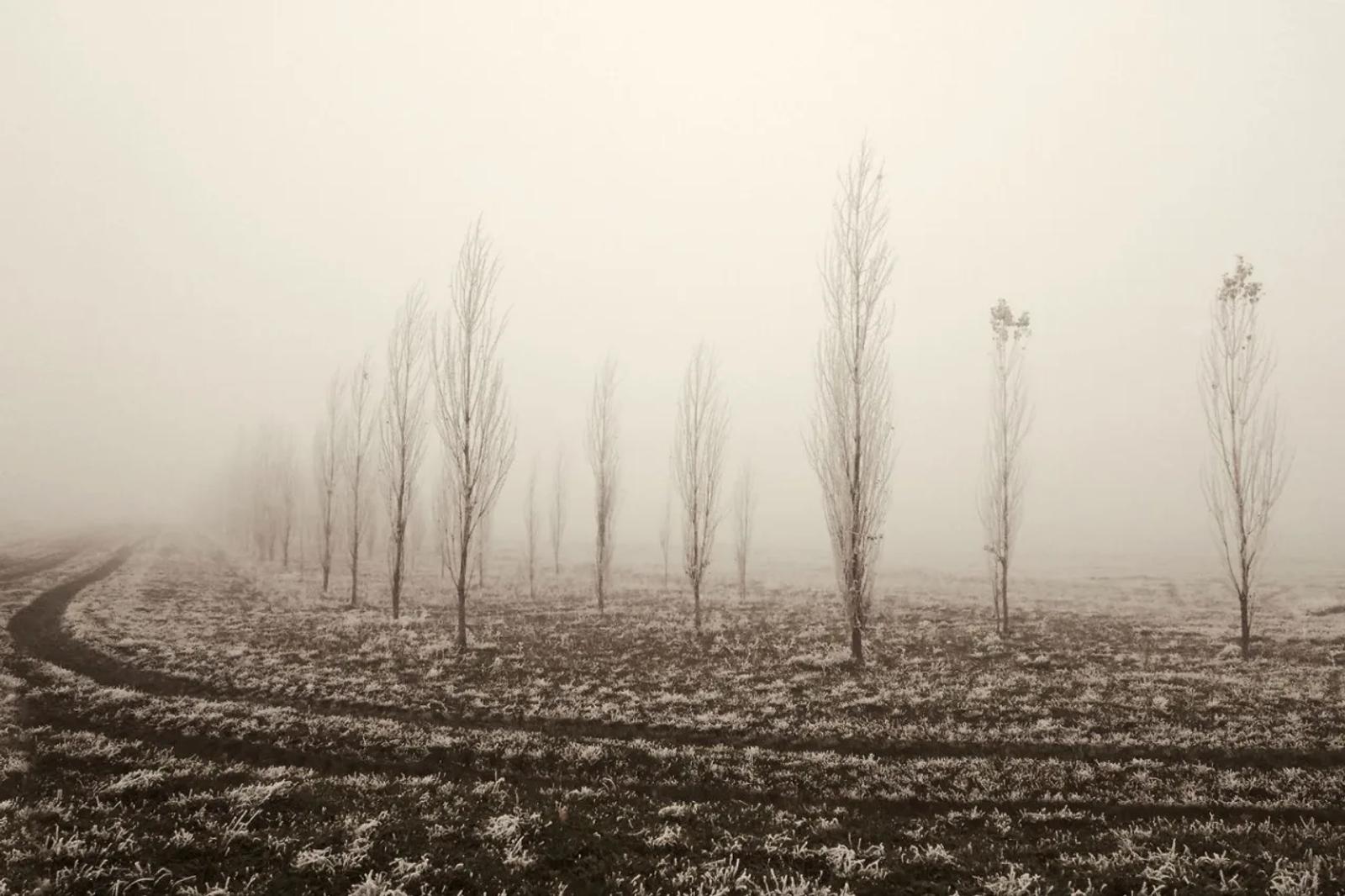 UR03 Défi de Mars 2026 : brume et brouillard — photographie 7 (GPPR)
