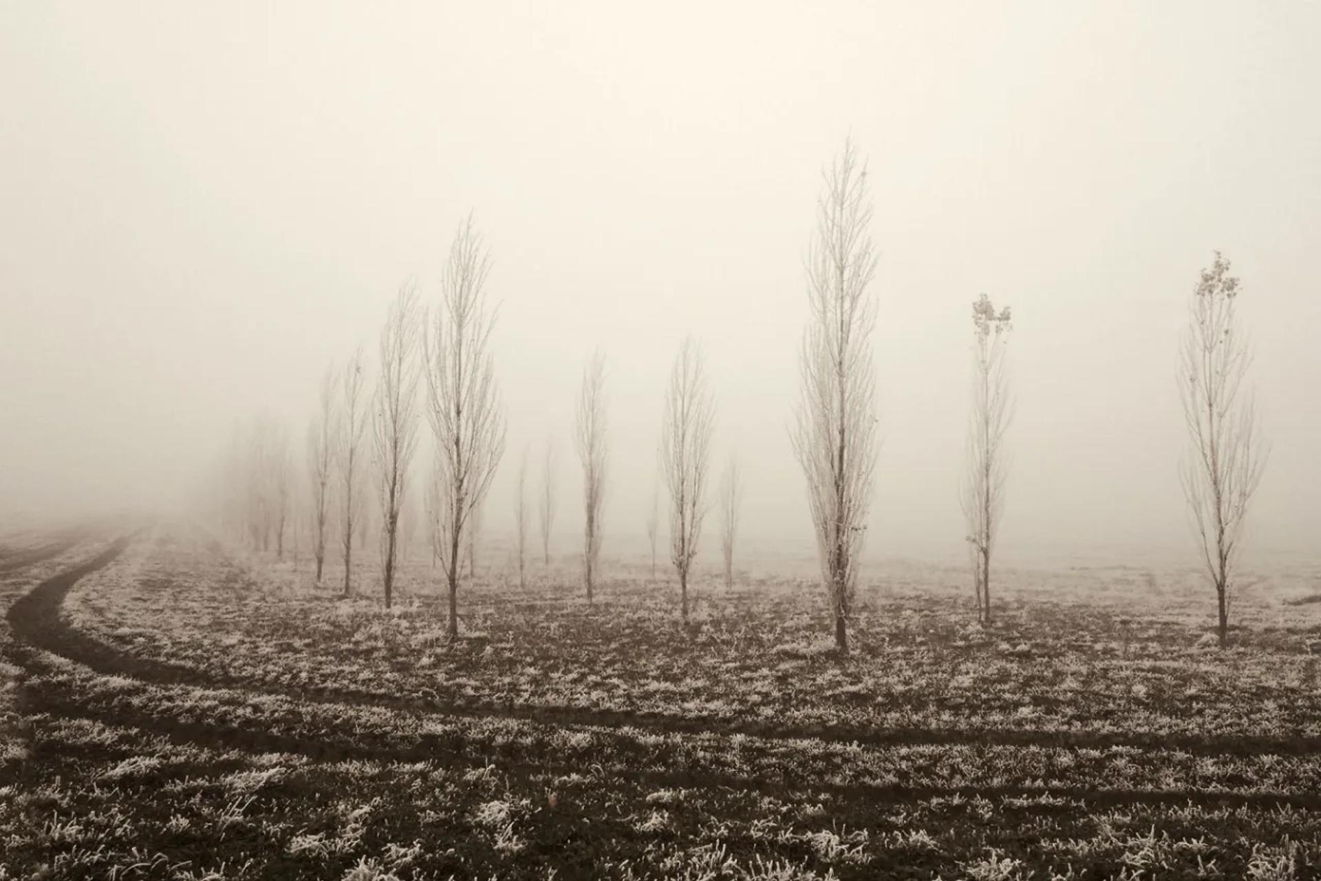 UR03 Défi de Mars 2026 : brume et brouillard — photographie 7 (GPPR)