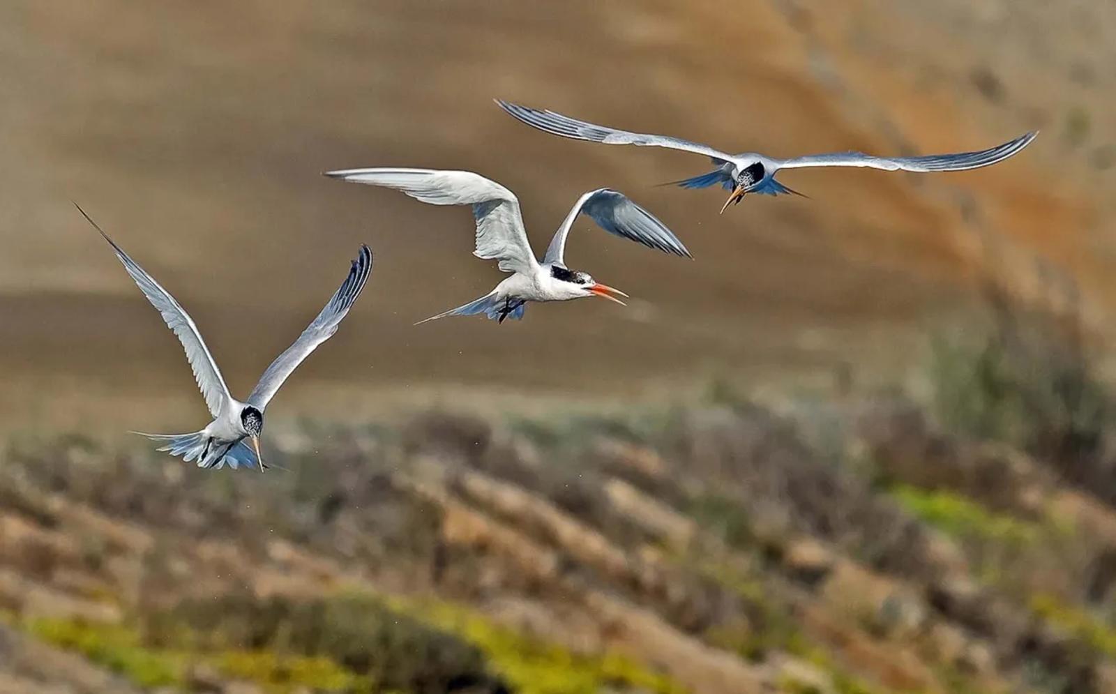 Photographie de Jean-Claude Fortor (2)