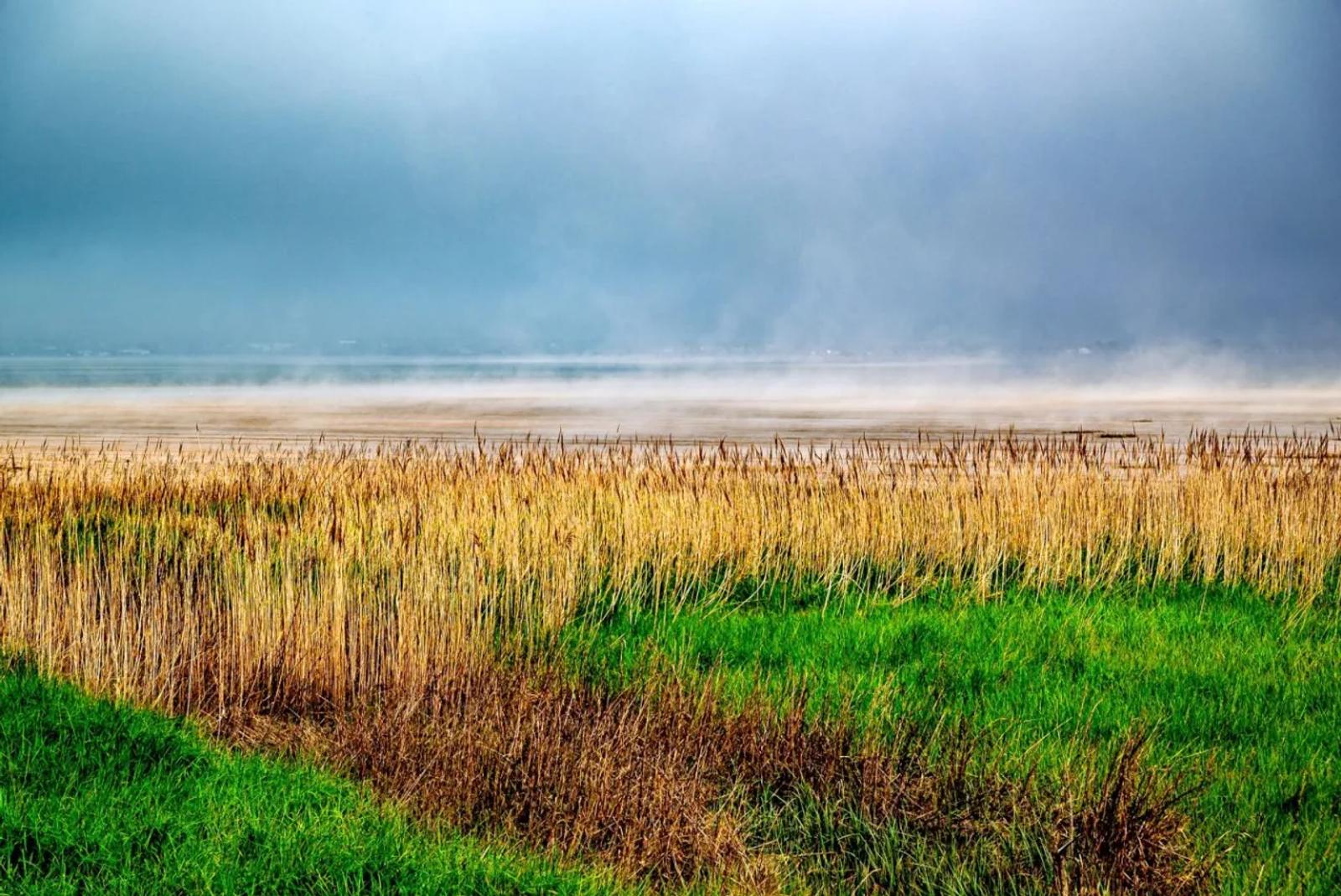 UR03 Défi de Mars 2026 : brume et brouillard — photographie 8 (GPPR)