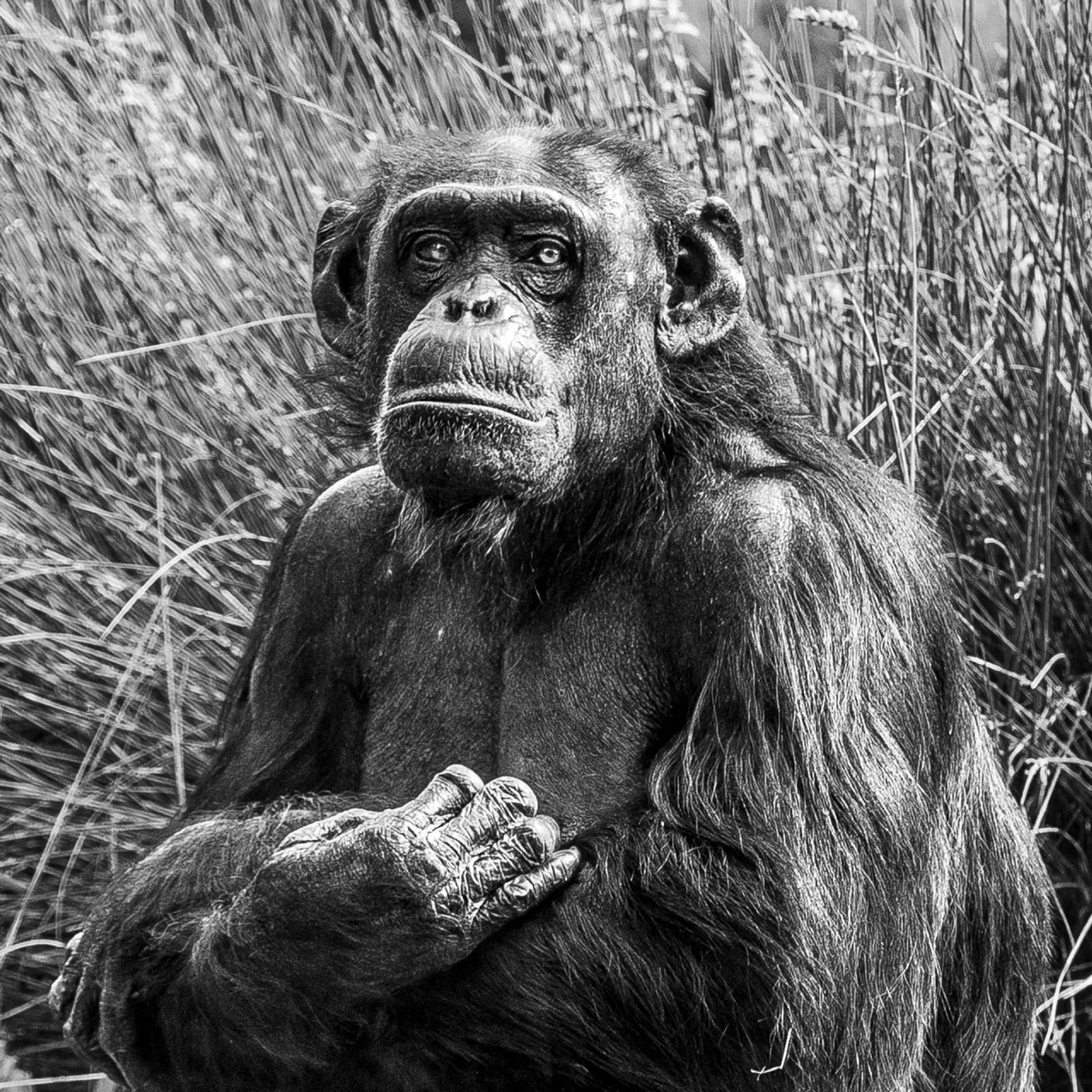 GRAP : concours papier 2025 — photographie 7 (GPPR)
