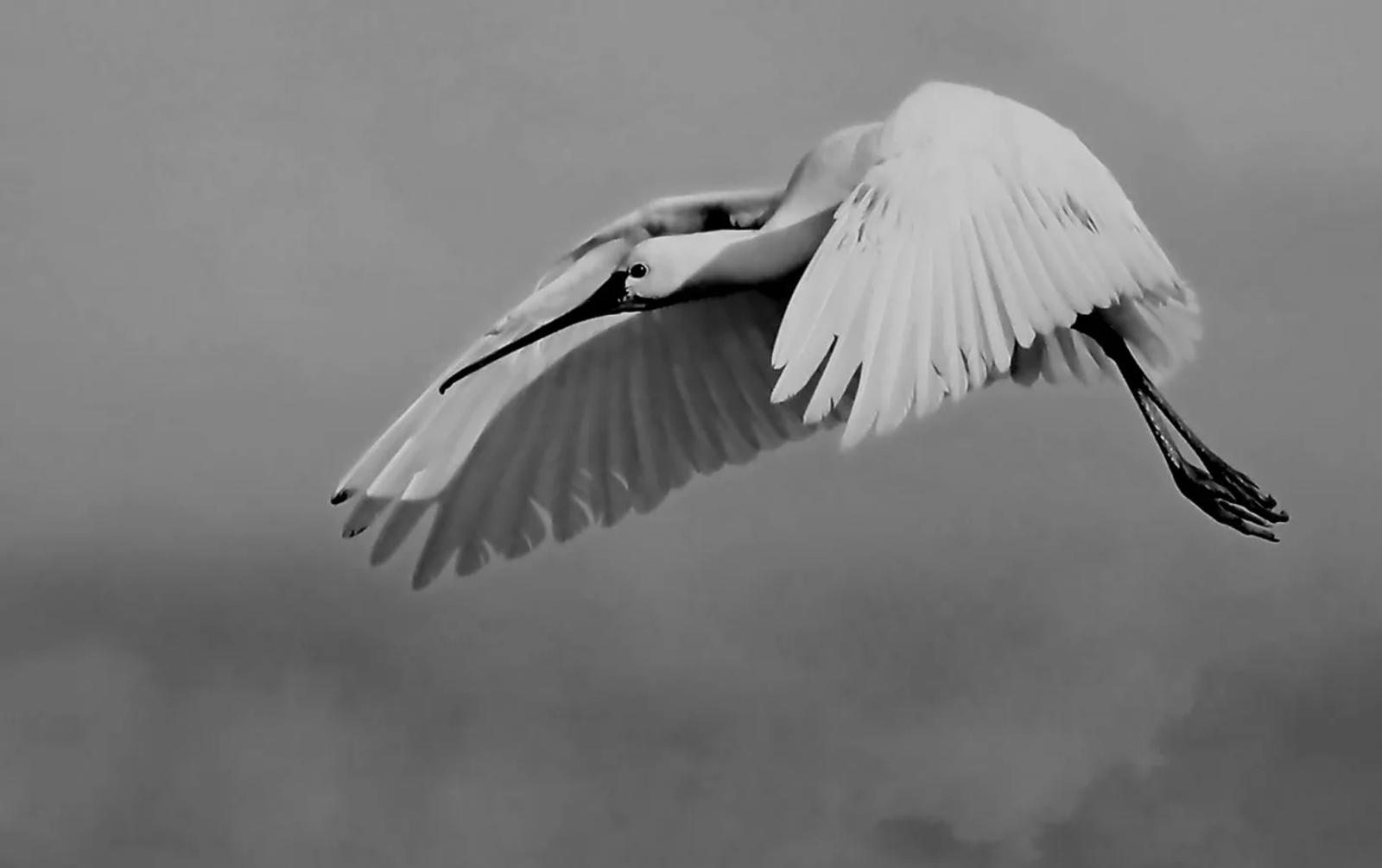 UR03 concours images projetées 2025 — photographie 33 (GPPR)