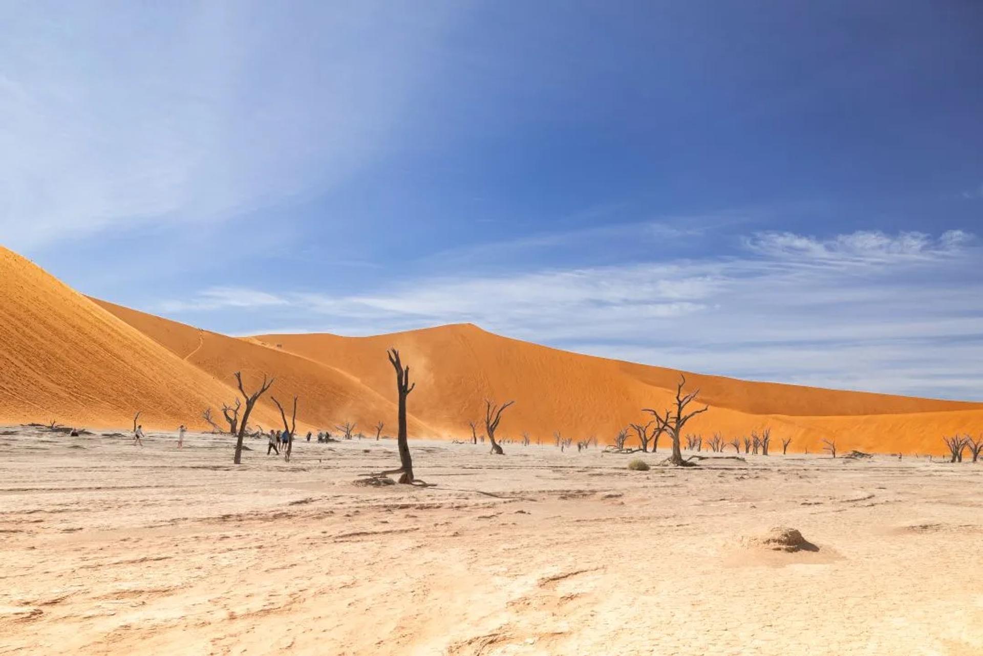 EXPOSITION "Bons baisers de Royan" automne 2025 — photographie 9 (GPPR)