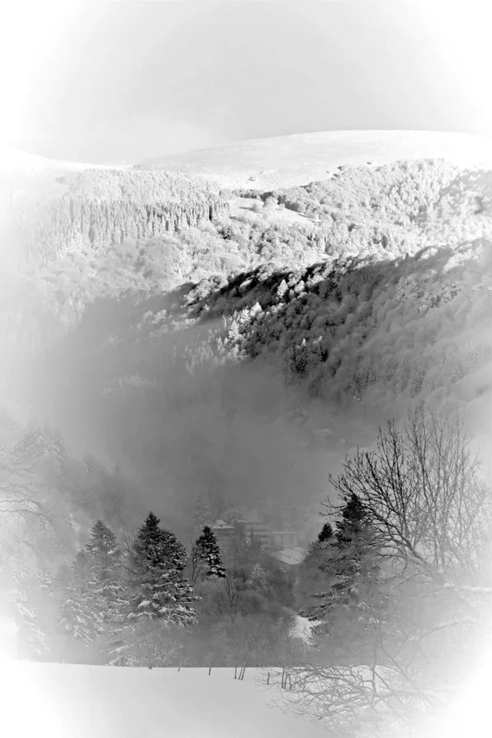 UR03 concours images projetées 2025 — photographie 59 (GPPR)