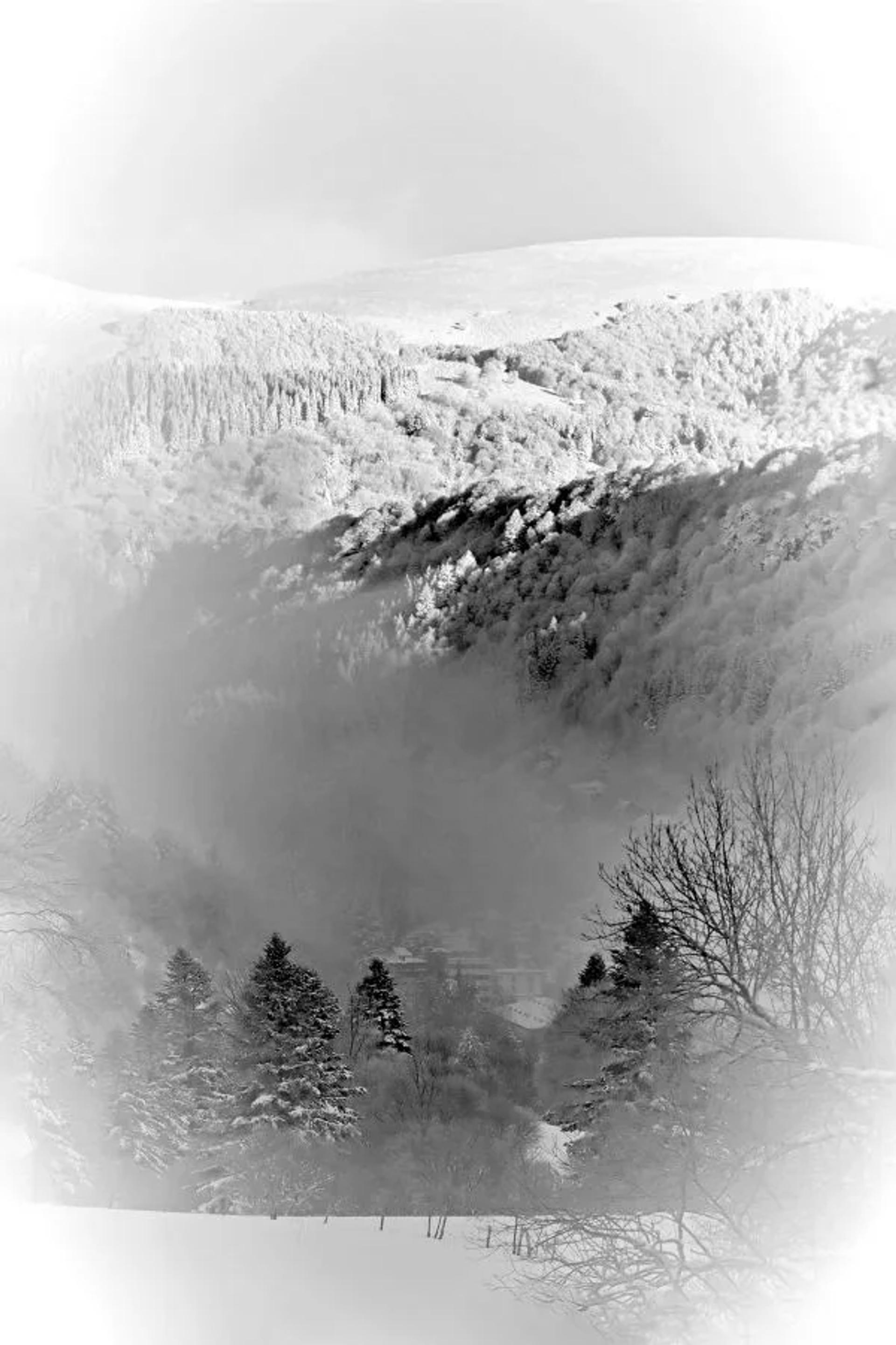 UR03 concours images projetées 2025 — photographie 59 (GPPR)