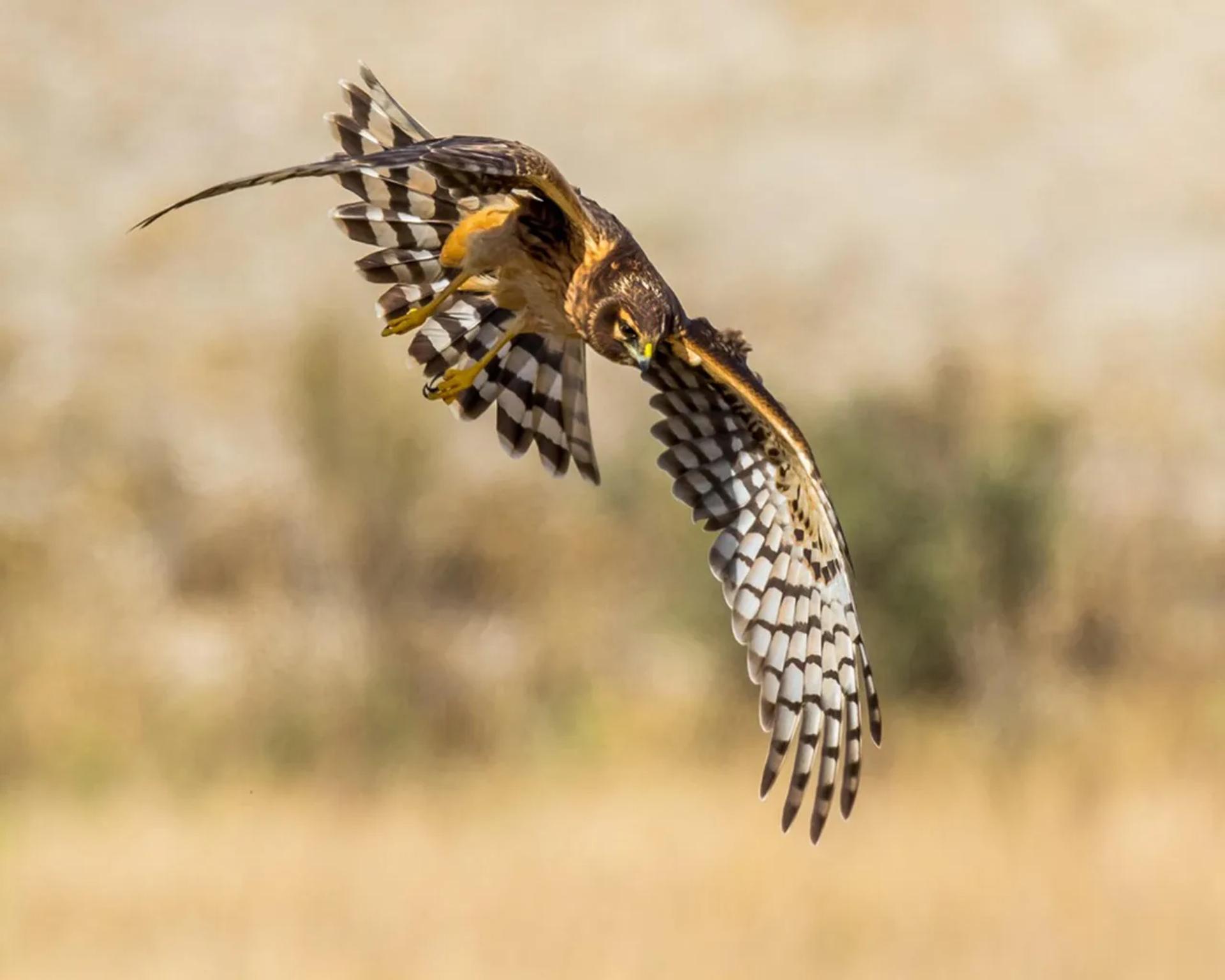 Photographie de Jean-Claude Fortor (2)