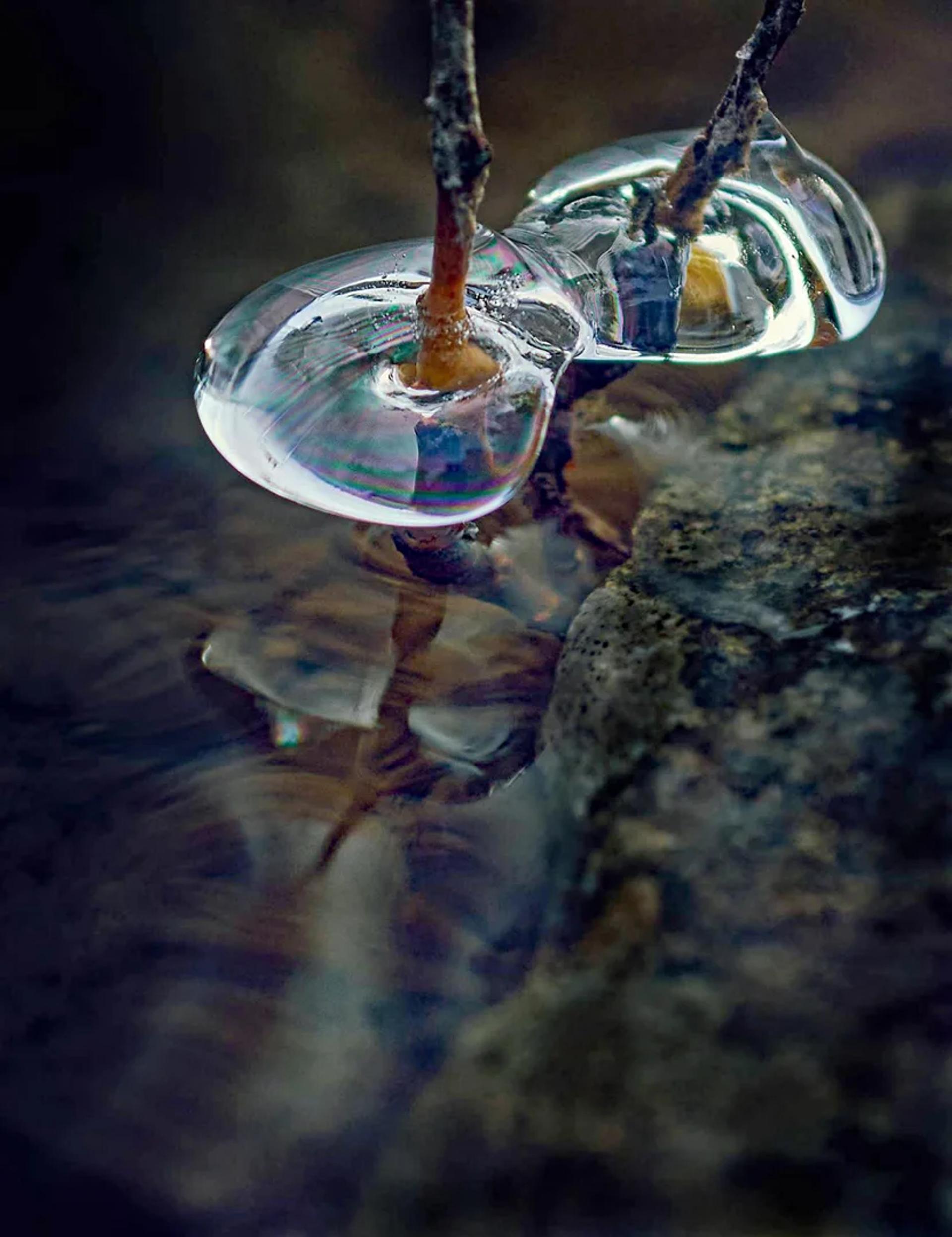 Photographie de Jean-Claude Fortor (10)