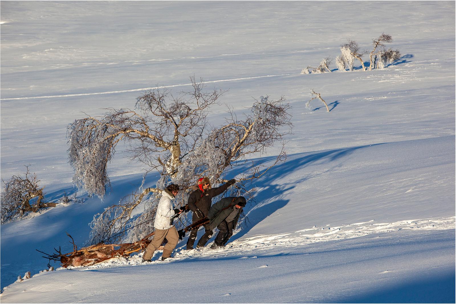 Auvergne  (10)