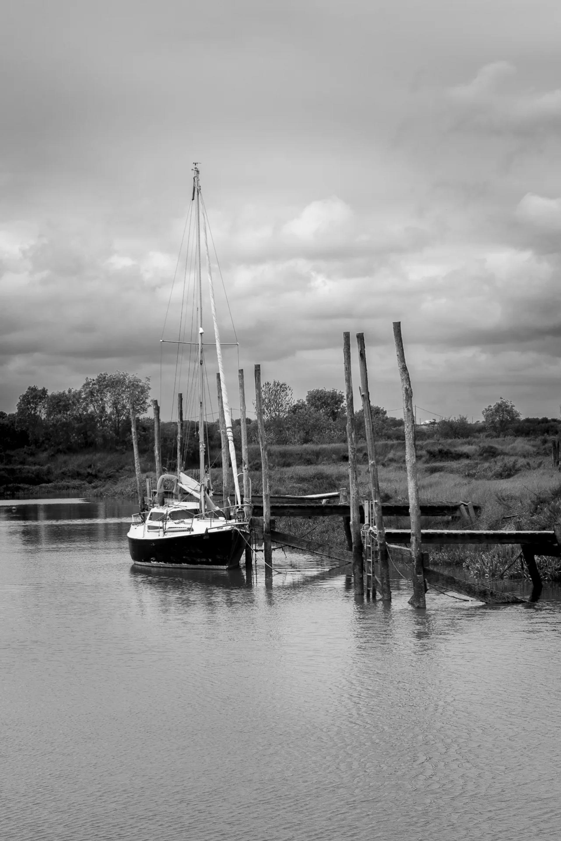 Photographie de Nicole Bureau (1)