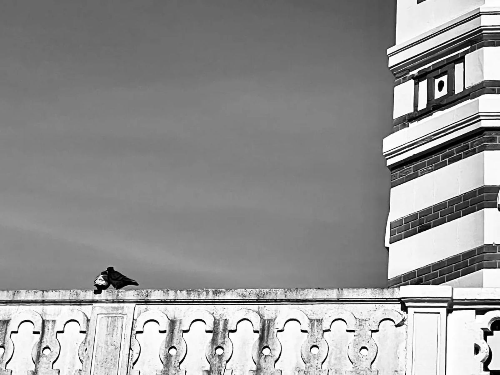 UR03 concours images projetées 2025 — photographie 56 (GPPR)