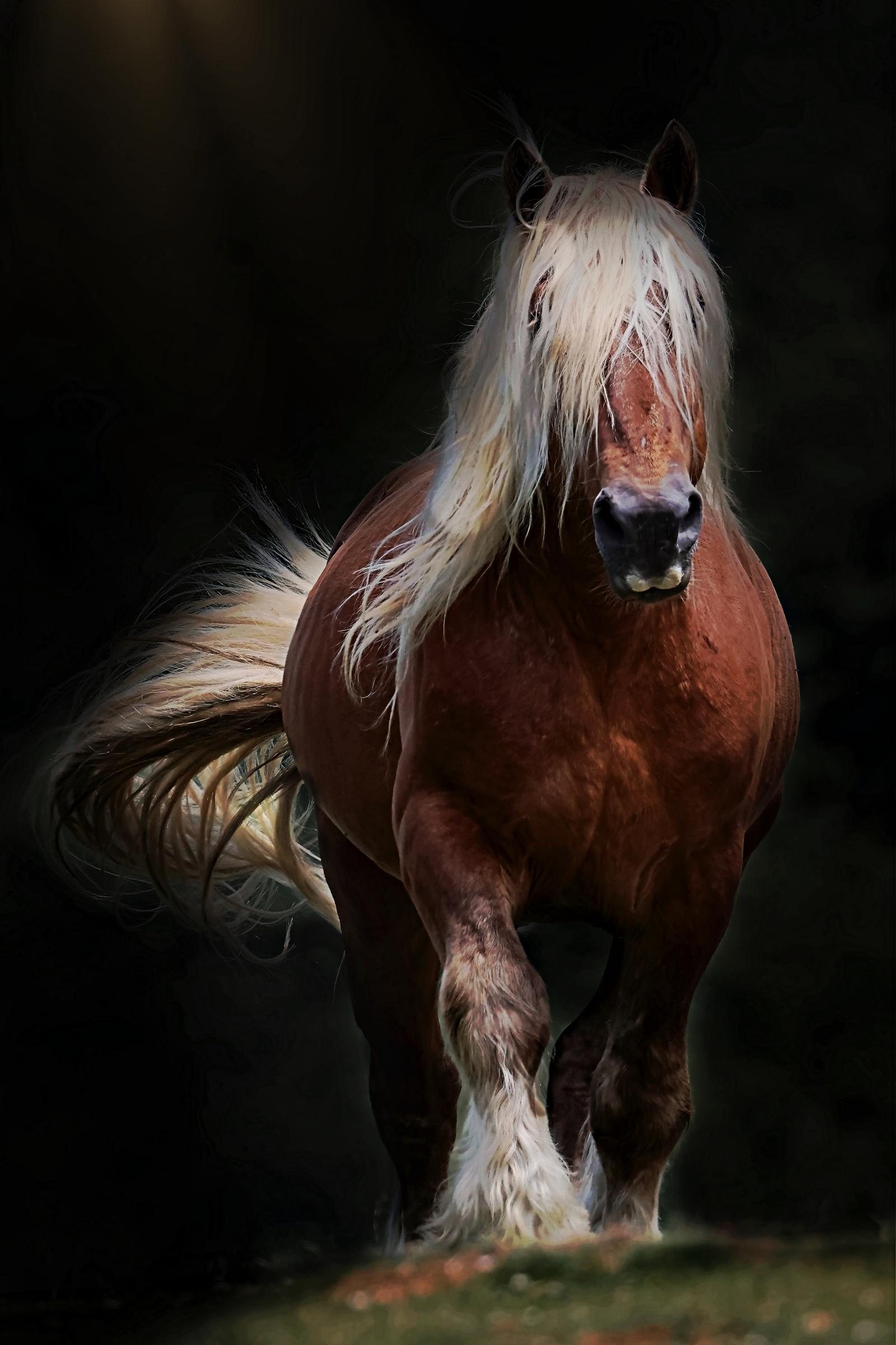 Photographie de Philippe Lombarde